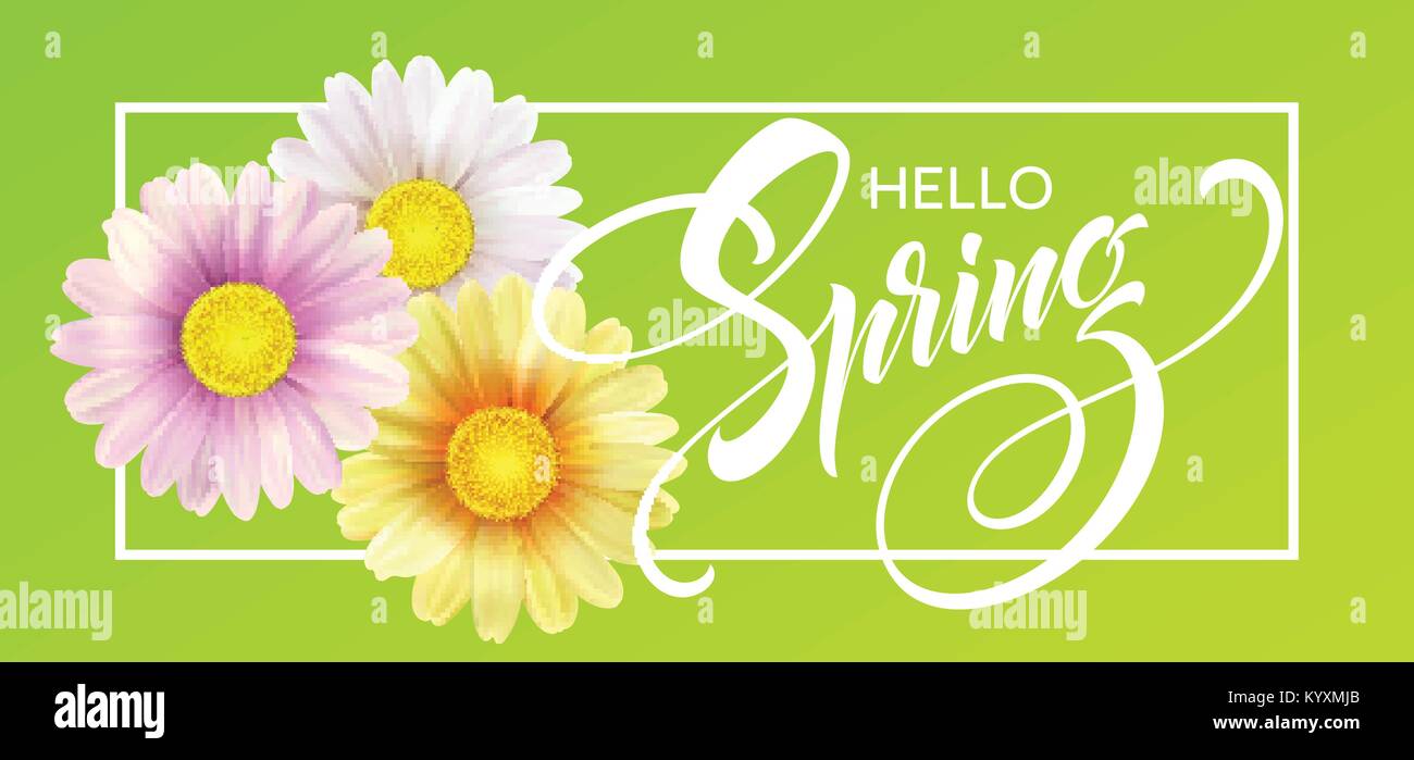 Fiore a margherita di sfondo e ciao molla Lettering. Illustrazione Vettoriale Illustrazione Vettoriale