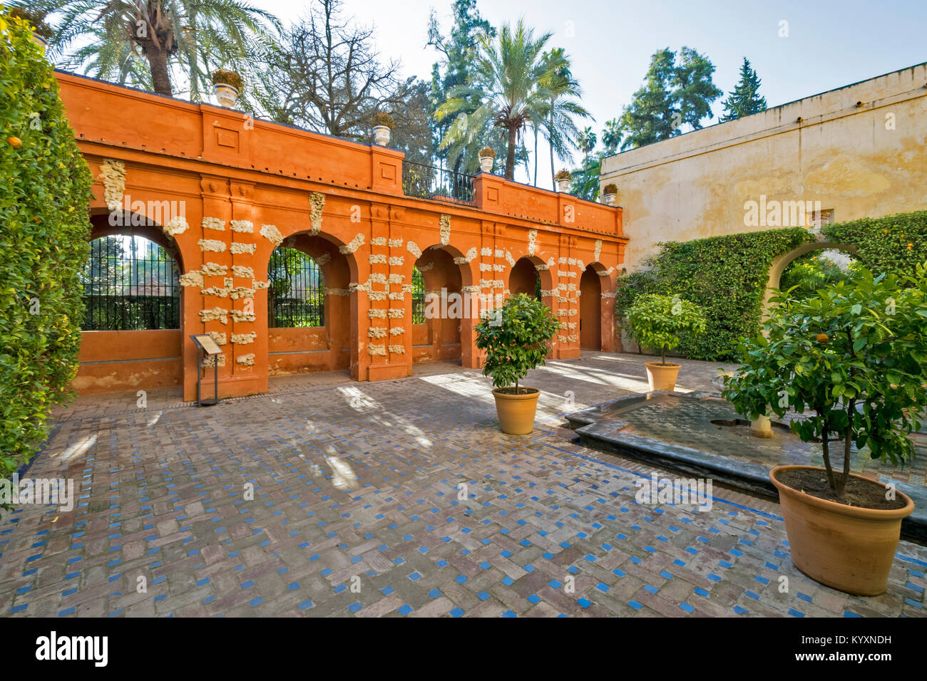 ALCAZAR siviglia spagna un patio all'interno dei giardini con pavimenti di piastrelle blu e alberi di arancio IN VASO Foto Stock