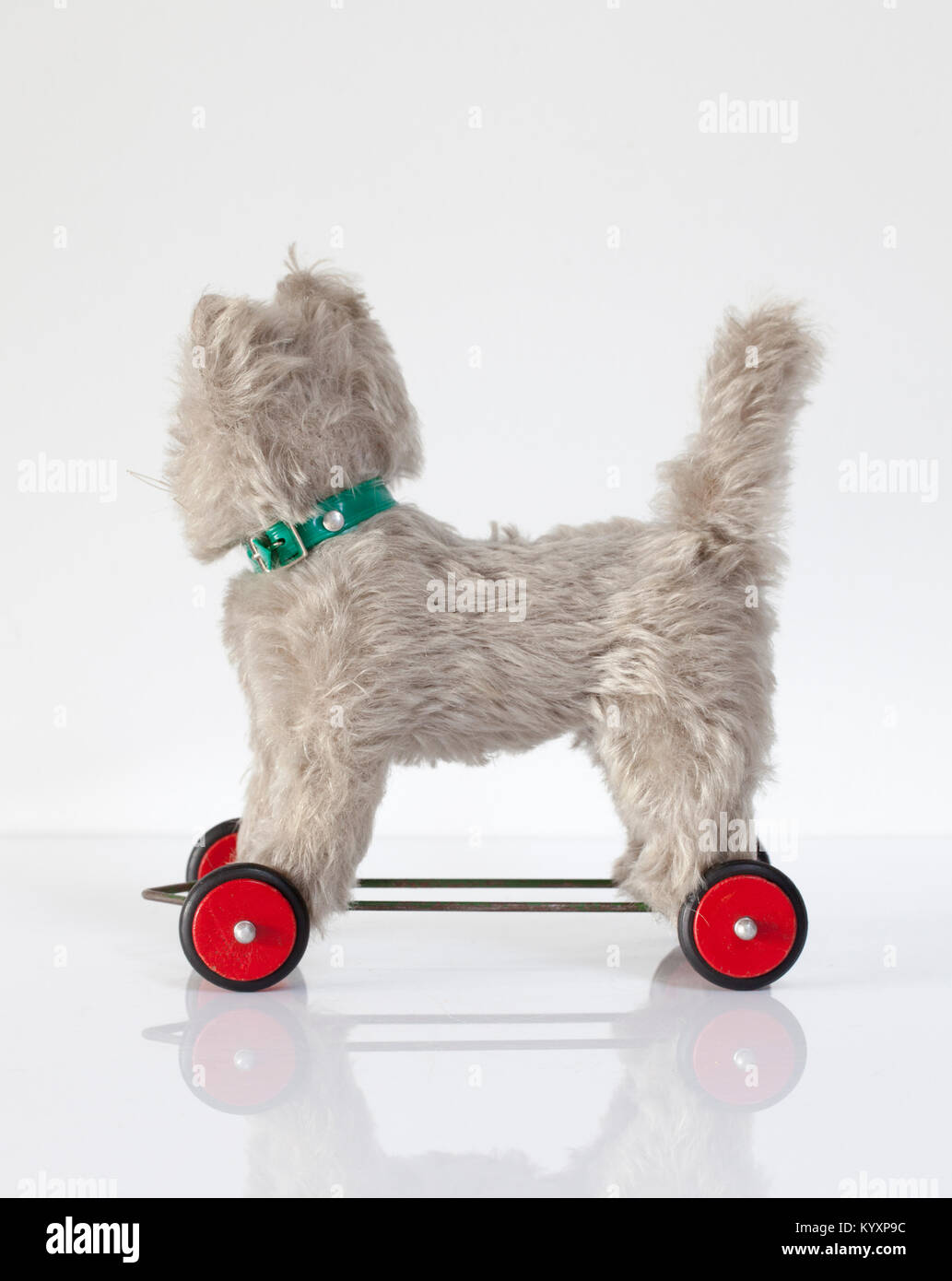 Un Vintage tedesco Hermann marca Mohair gatto giocattolo di peluche su ruote Foto Stock