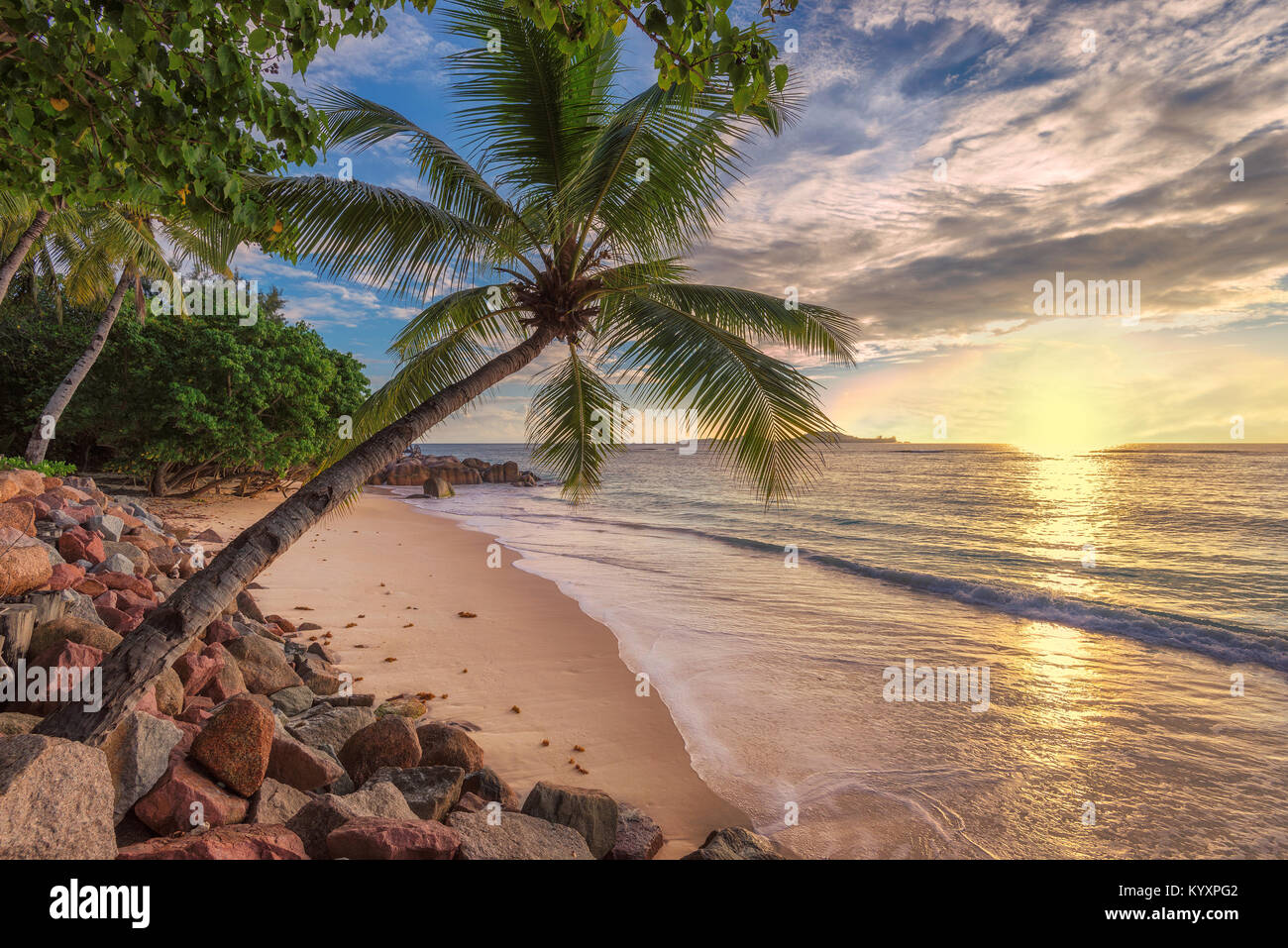 Tramonto su esotica spiaggia tropicale con palme . Vacanze estive e concetto di vacanza sfondo. Foto Stock