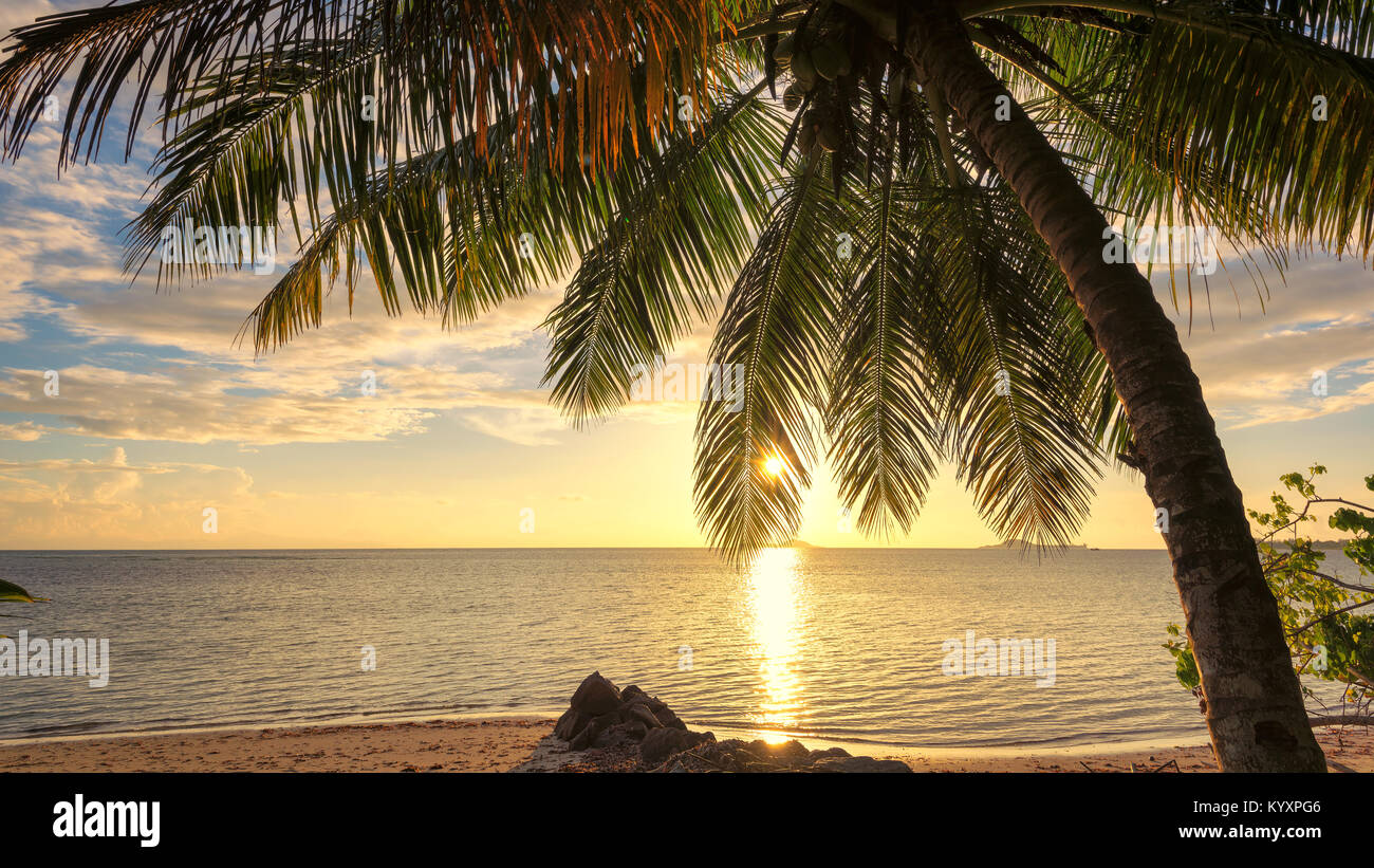 Palme al tramonto su esotica spiaggia tropicale. Vacanze estive e concetto di vacanza sfondo. Foto Stock