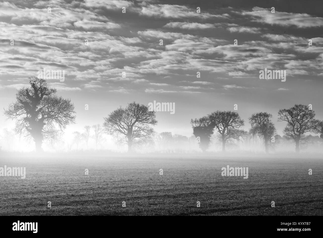 Sunrise in un freddo gelido mattina con una nebbia sulla terra. Foto Stock