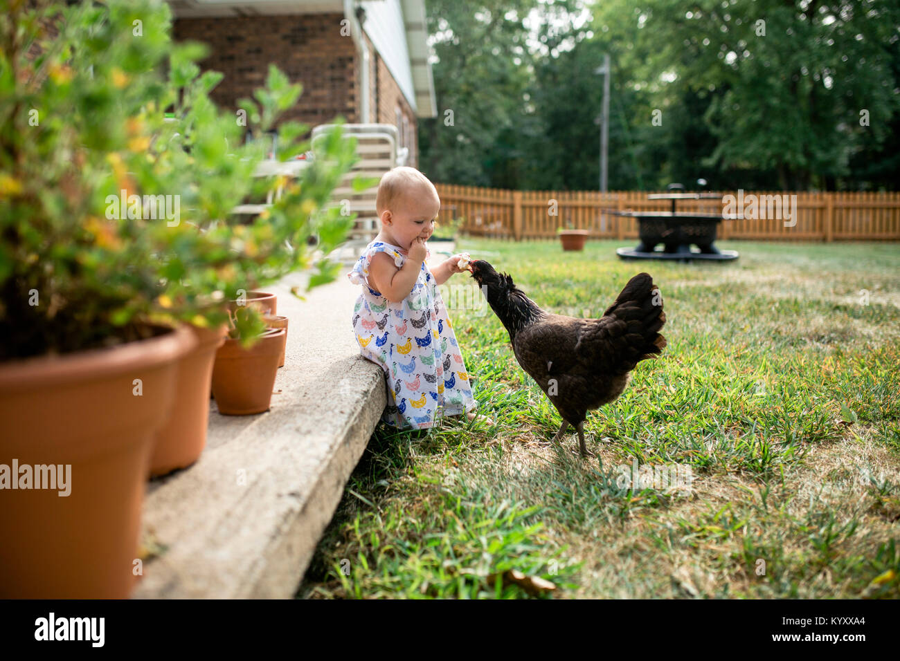 Baby girl mangiare pane mentre si alimenta hen in cantiere Foto Stock