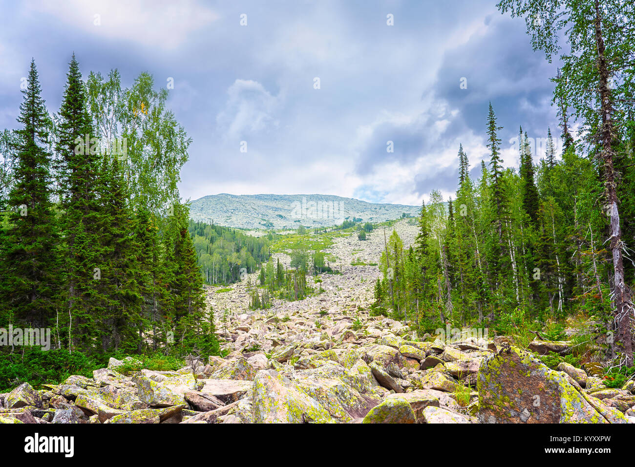 Agglomerato di rocce giganti nelle foreste di montagna. Podnebesnye Zubja, Kuznetsk Alatau, Siberia Foto Stock