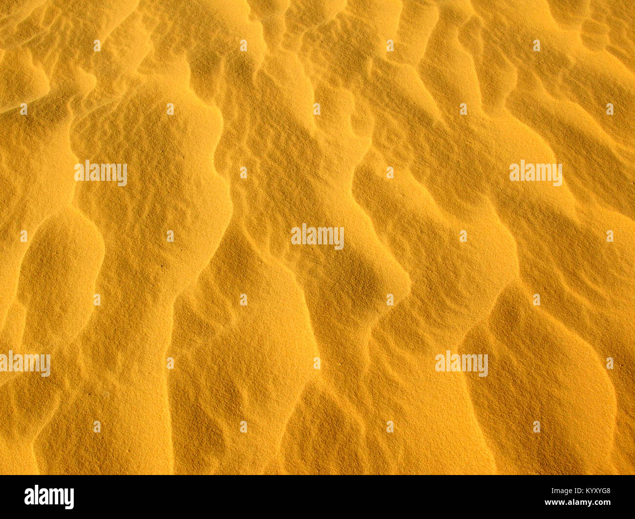 Close-up di sabbia nel deserto Foto Stock