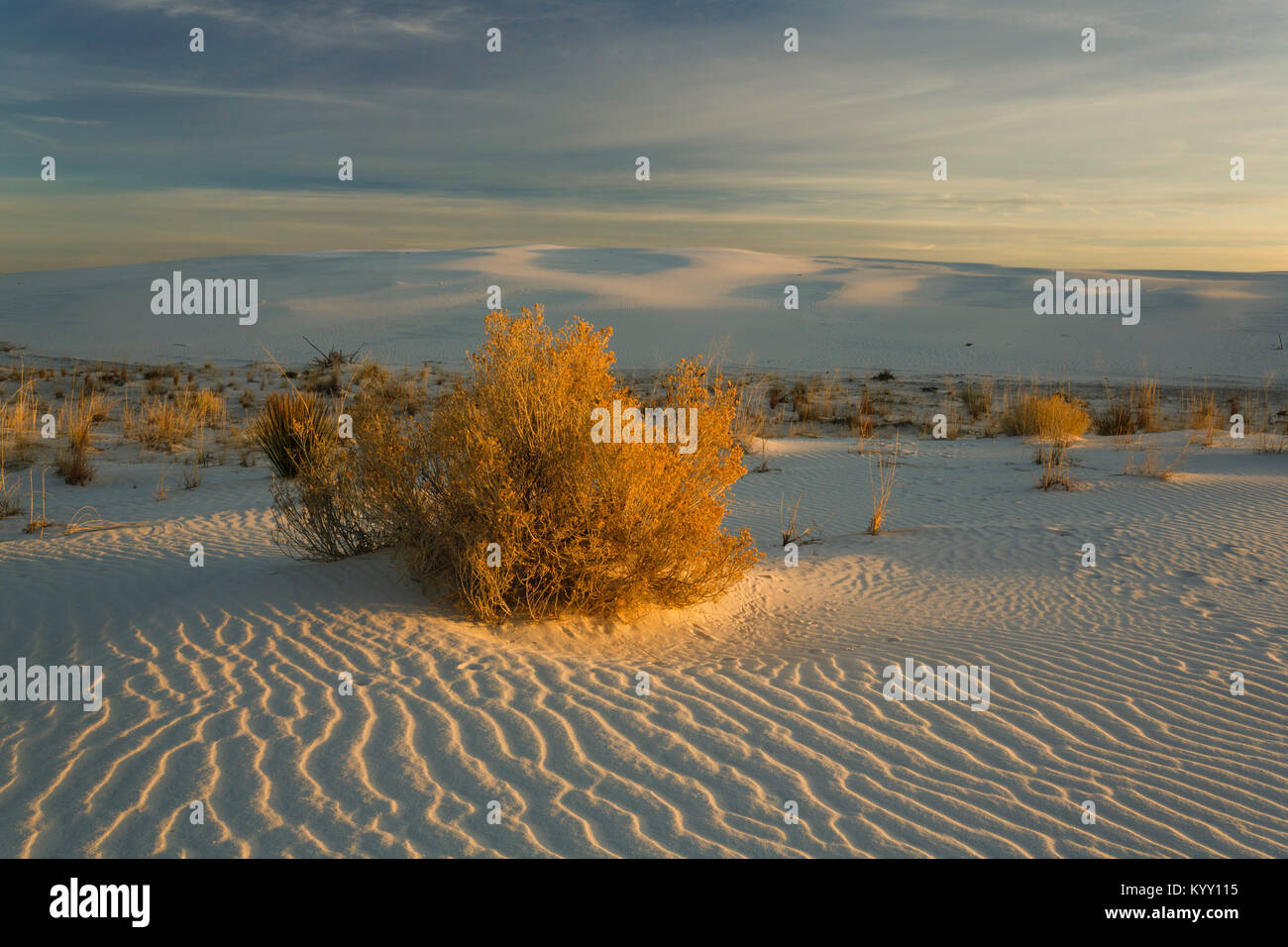 Vista panoramica del deserto a White Sands National Monument Foto Stock
