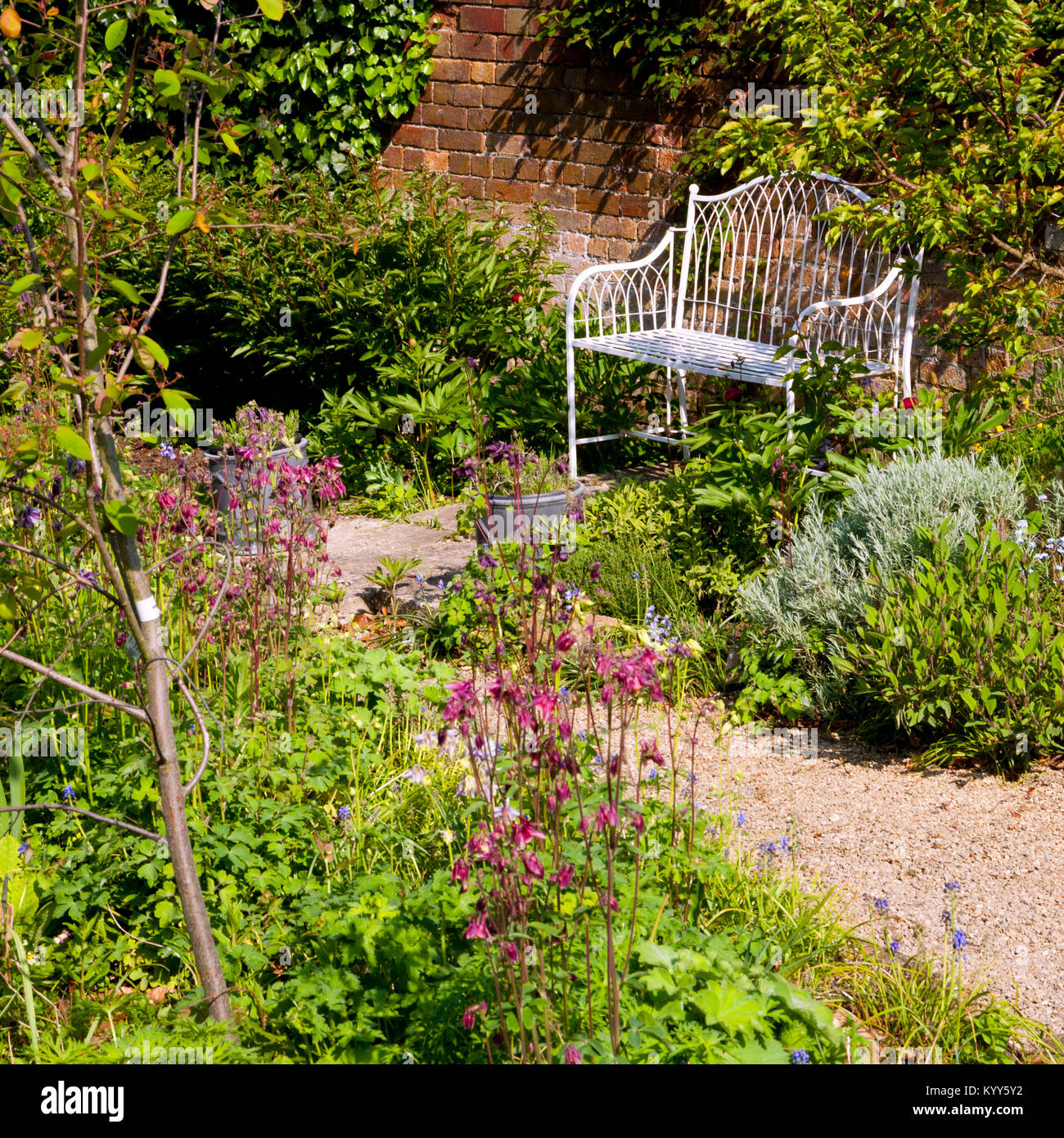 Un appartato giardino panchina da un vecchio muro di mattoni in un angolo del giardino Foto Stock
