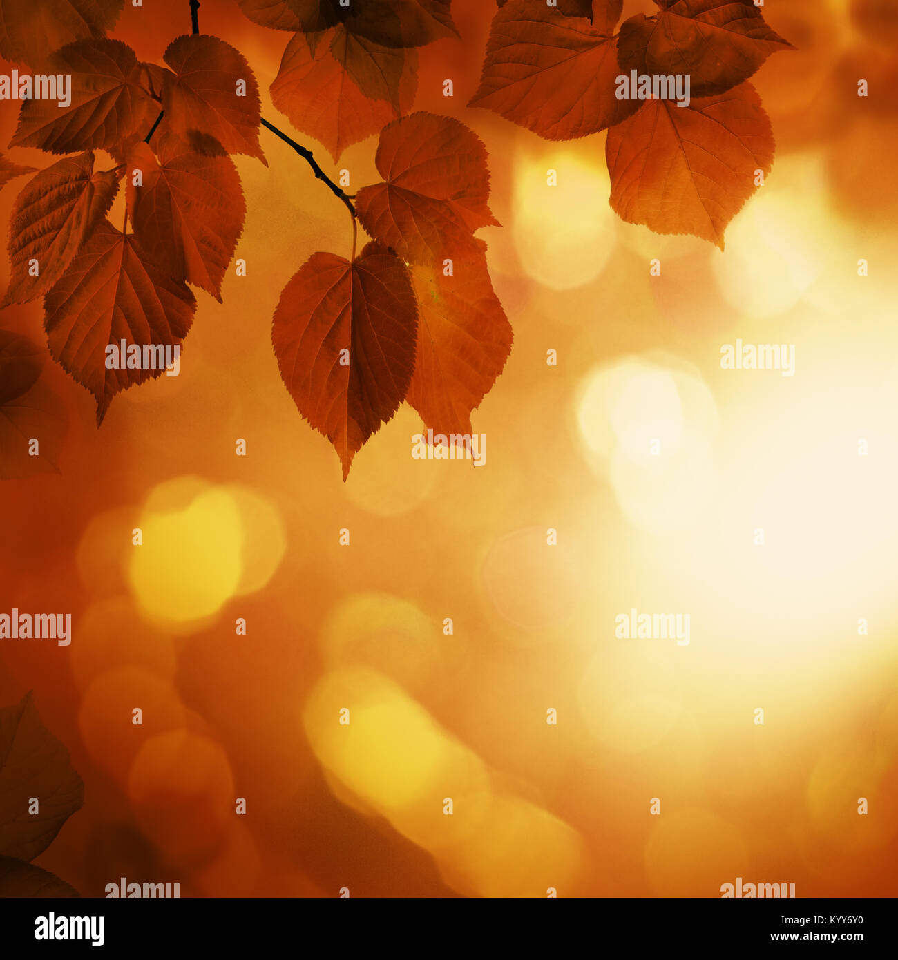 Autunno sfondo rosso con foglie di tiglio e Abstract Bokeh Glitter Foto Stock