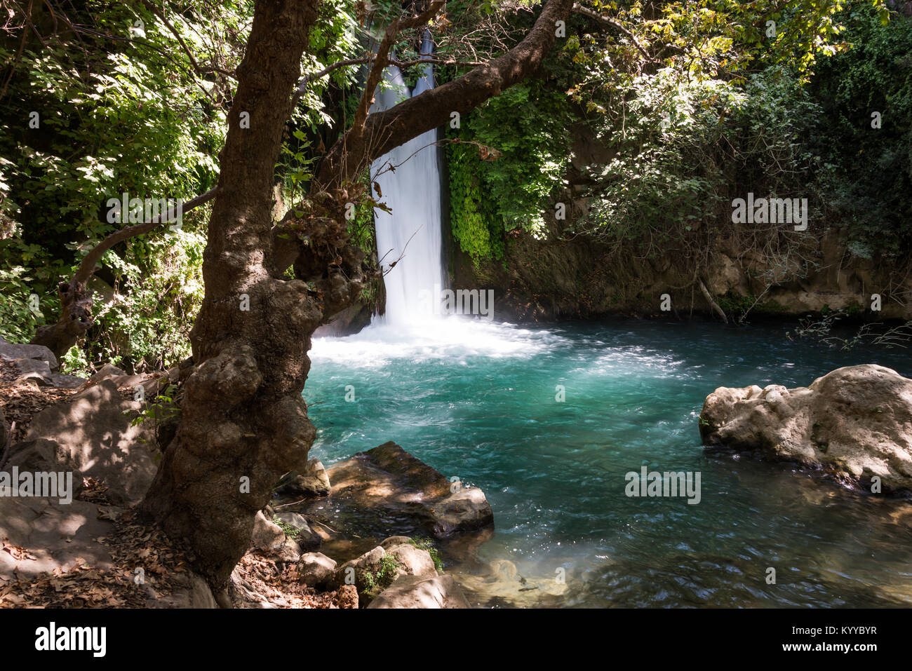 Visita di Banias Riserva Naturale nel nord di Israele Foto Stock