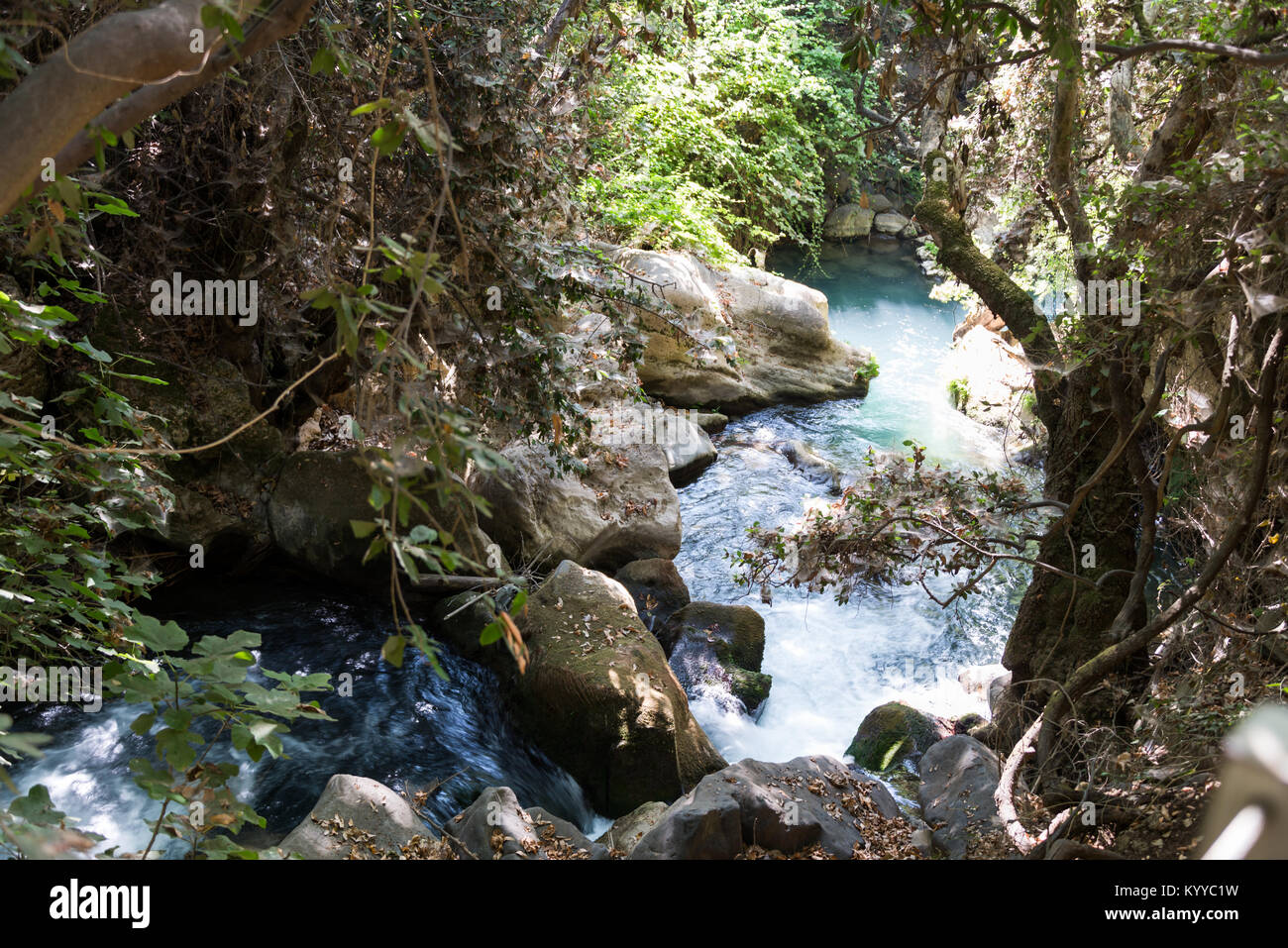 Visita di Banias Riserva Naturale nel nord di Israele Foto Stock