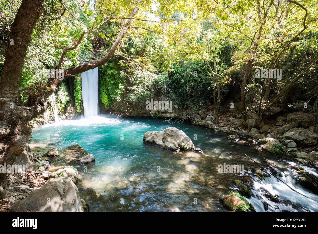 Visita di Banias Riserva Naturale nel nord di Israele Foto Stock