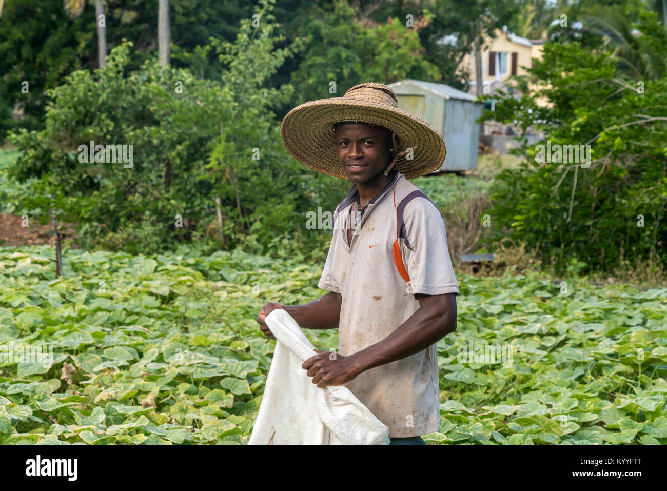 Afrikanischer Bauer auf seinem Feld, Saint Francois, Insel Rodrigues, Mauritius, Afrika, | agricoltore africano sul suo campo, Saint Francois, , Rodrigues Foto Stock