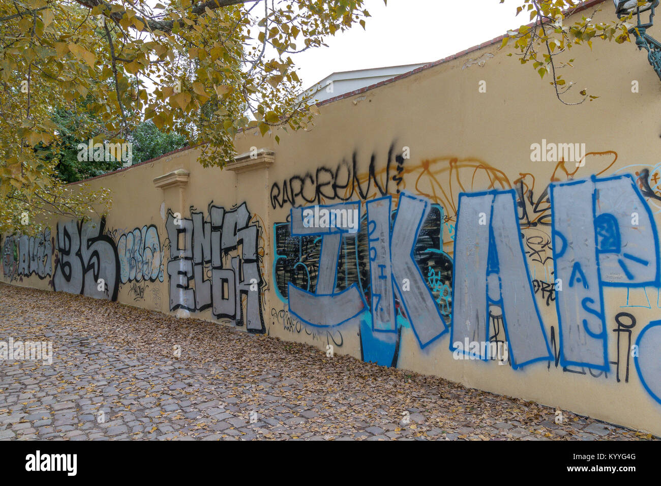 Un muro spruzzato di graffiti che corre lungo una strada acciottolata coperta di foglie autunnali a Praga, Repubblica Ceca Foto Stock