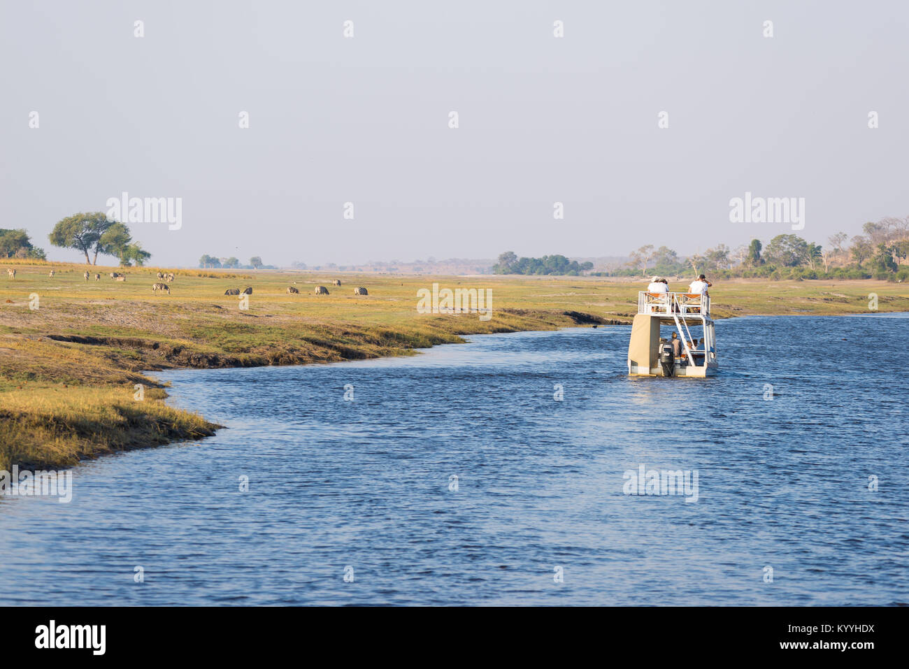 Crociera in barca e wildlife safari sul fiume Chobe, Namibia Botswana confine, Africa. Chobe National Park, famosa riserva wildlilfe e aristocratico travel dest Foto Stock