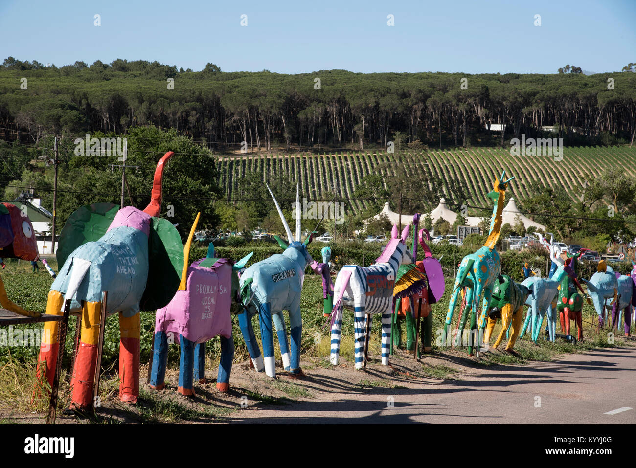 Stellenbosch a Somerset West road nella Western Cape in Sud Africa. Dicembre 2017. Scarcrows su un strawberry farm Foto Stock