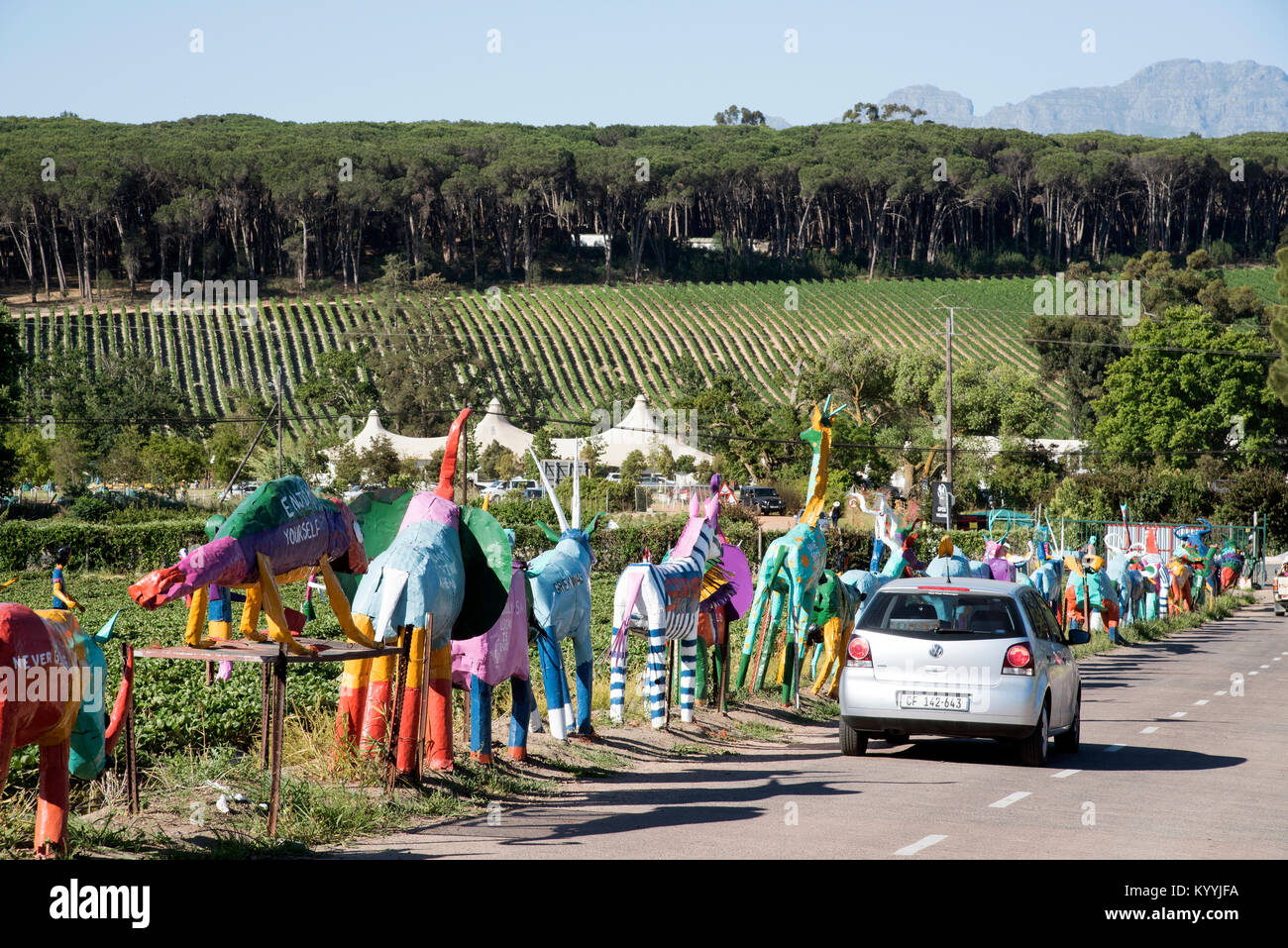 Stellenbosch a Somerset West road nella Western Cape in Sud Africa. Dicembre 2017. Scarcrows su un strawberry farm Foto Stock