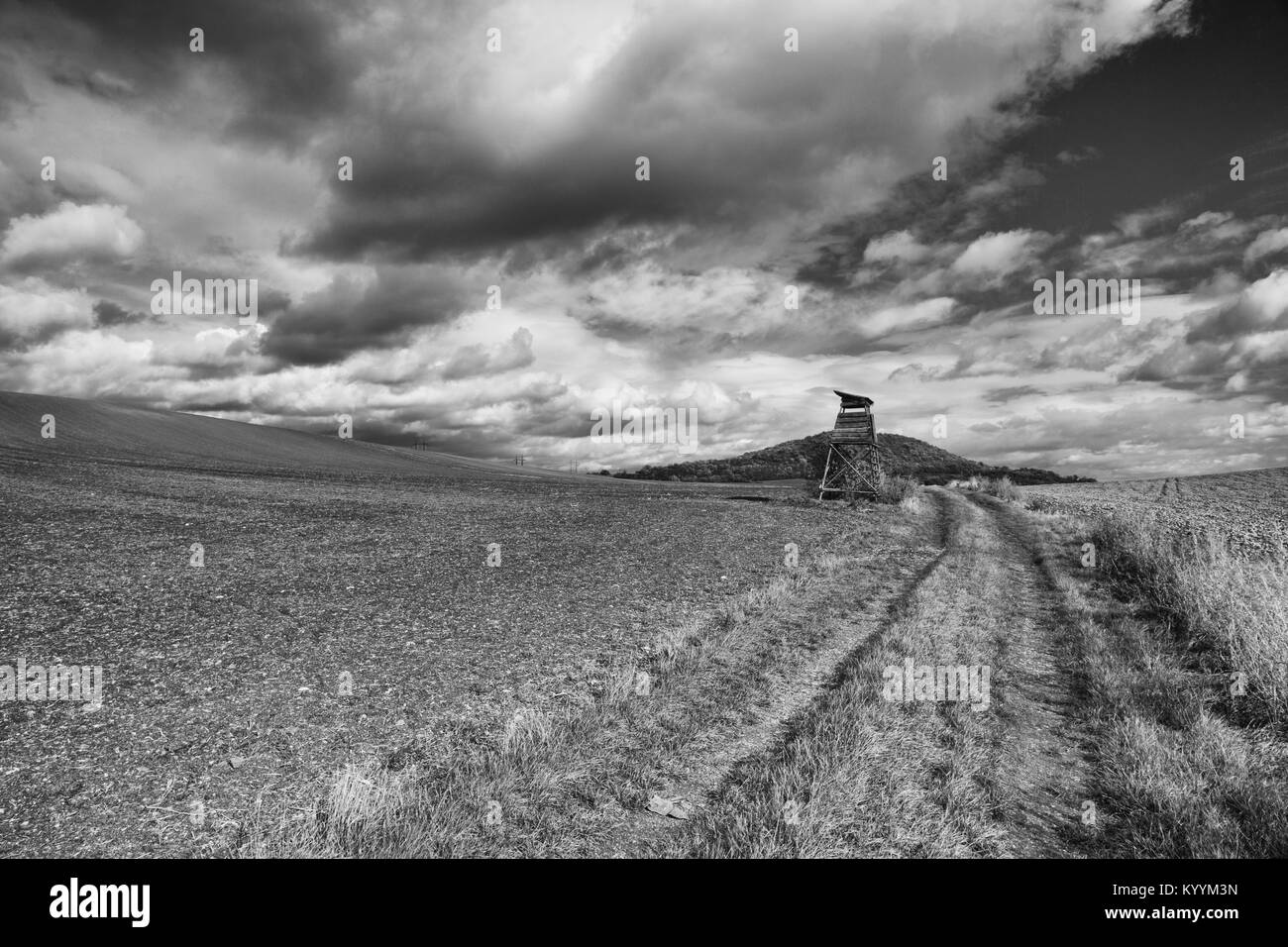 Sulla strada vuota tra i campi nella Boemia centrale Highlands, Repubblica Ceca Foto Stock