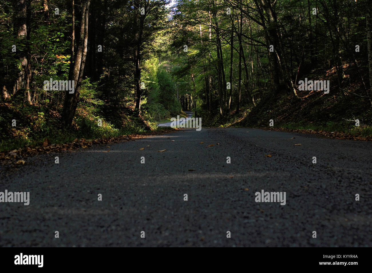 La strada da percorrere Foto Stock