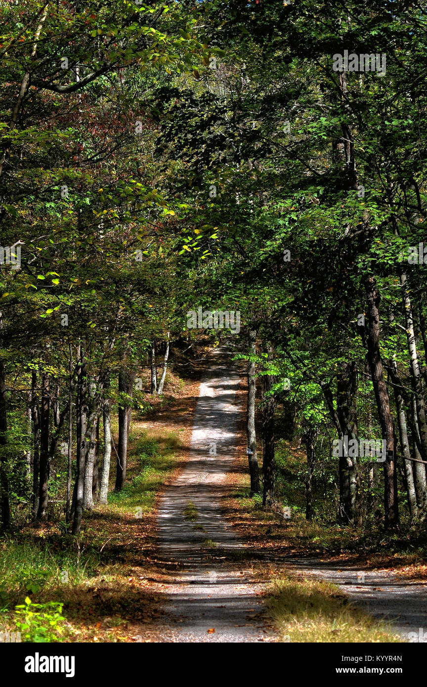 La strada da percorrere Foto Stock