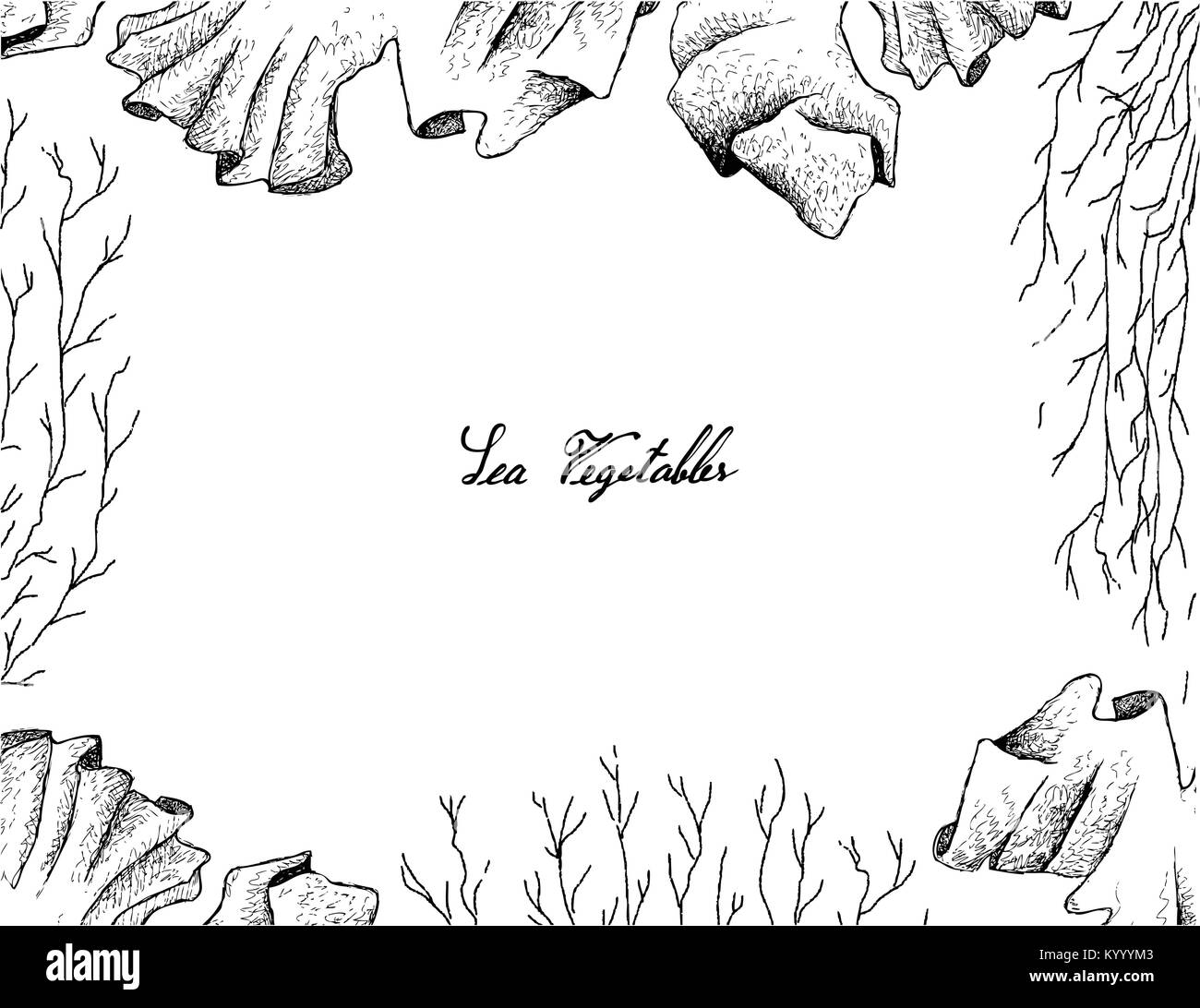 Mare Verdure, illustrazione Telaio del lato Bozzetto freschi Laver e alghe Mozuku isolati su sfondo bianco. Alto in calcio, magnesio e Io Illustrazione Vettoriale