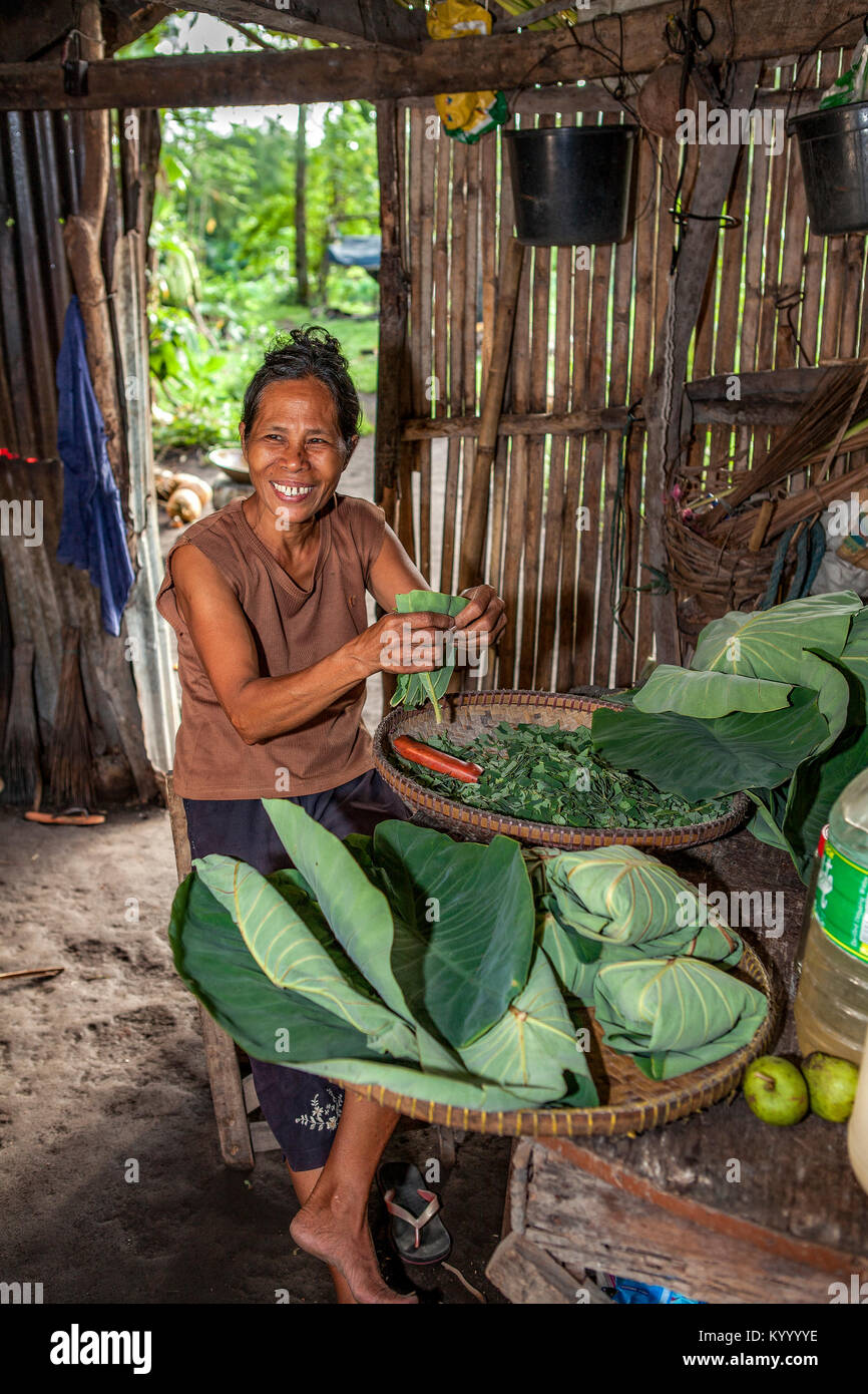 Una donna filippina si prepara un pasto a base di foglie di taro in suo 'sporca'. La cucina è una cucina al di fuori della casa principale, non è veramente sporco. Foto Stock
