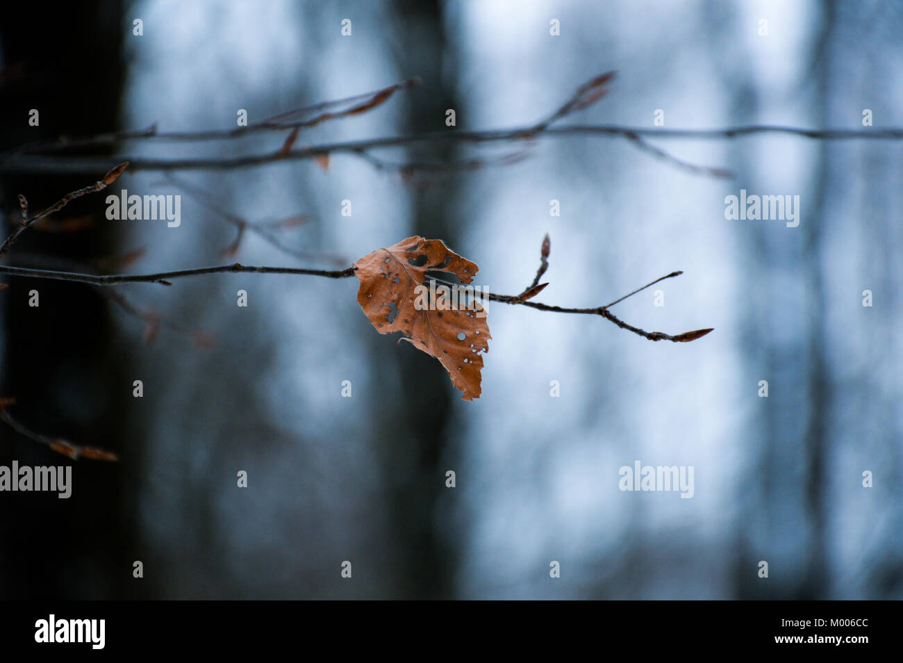 Italian Winter è così suggestivo, incredibile luogo da visitare Foto Stock