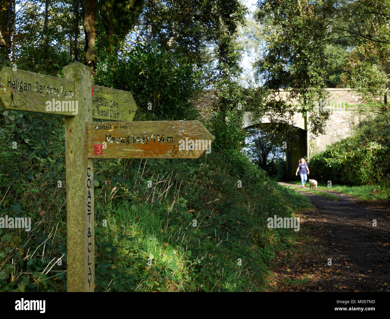 Camminando nel sole autunnale vicino al Lost Gardens of Heligan, Cornwall. Foto Stock