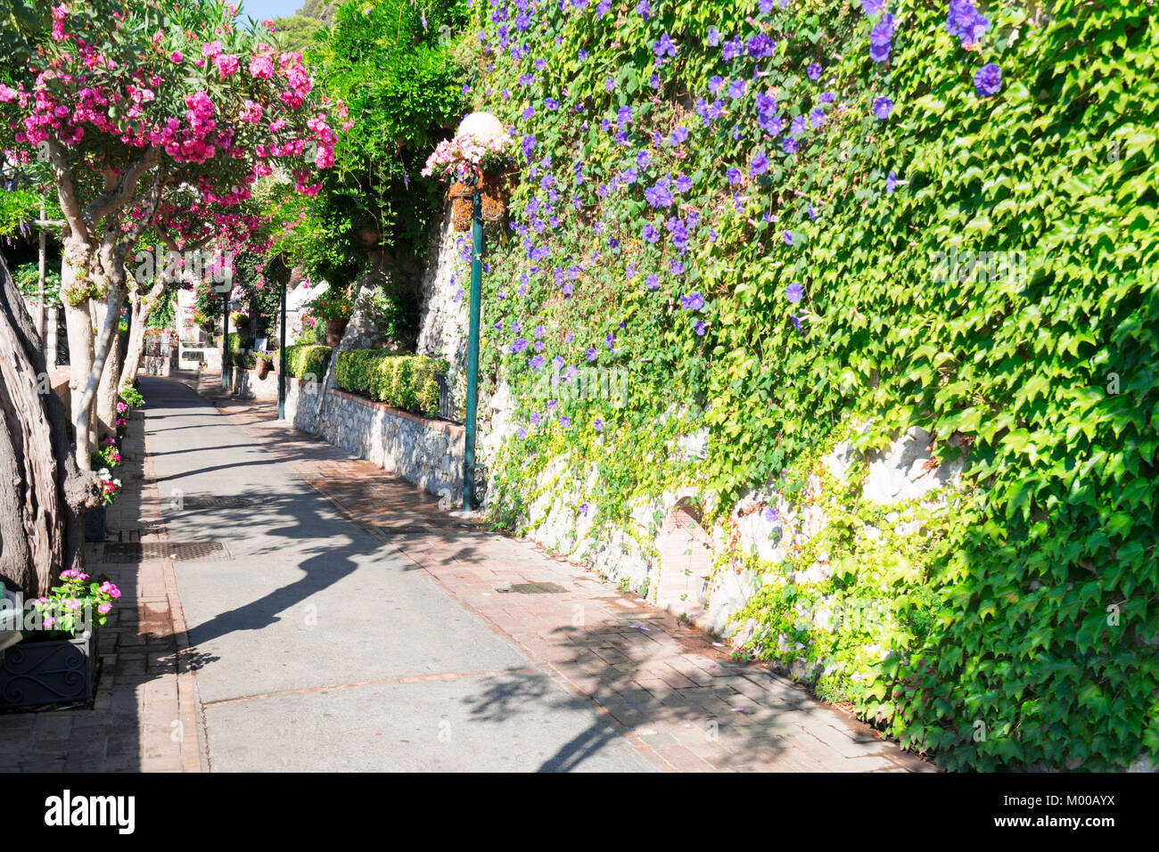 Bella estate street di Anacapri, isola di Capri, Italia Foto Stock