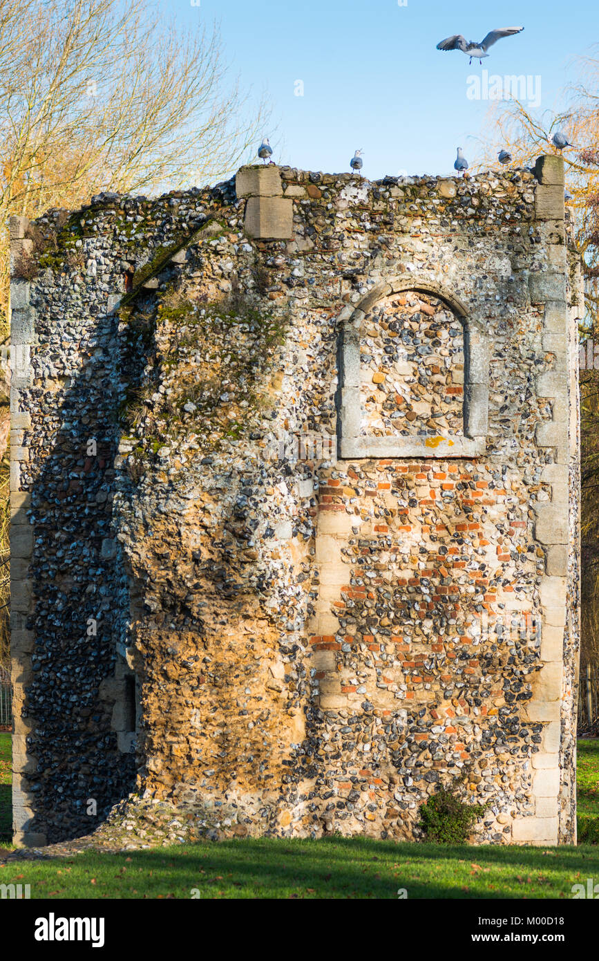 Nel cuore di Bury St Edmunds, Suffolk, l'abbazia che una volta era una delle più ricche e più potenti monasteri benedettini in Inghilterra. Foto Stock