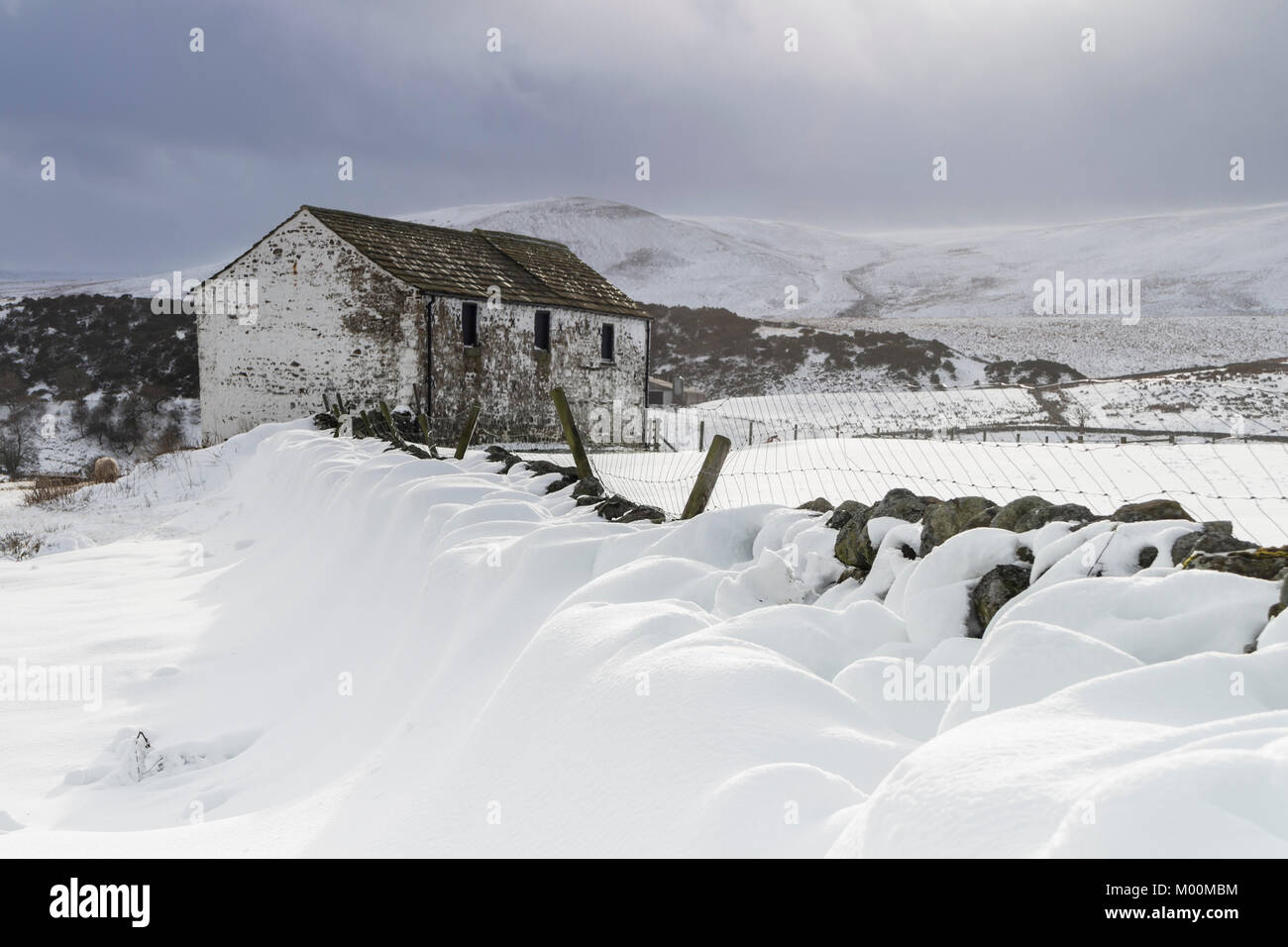 Forest-in-Teesdale, County Durham Regno Unito. Mercoledì 17 Gennaio 2018. Regno Unito Meteo. Venti forti e neve pesante le docce hanno creato cumuli di neve di diversi piedi profondo nella foresta-in-Teesdale, County Durham, questo pomeriggio. Credito: David Forster/Alamy Live News Foto Stock