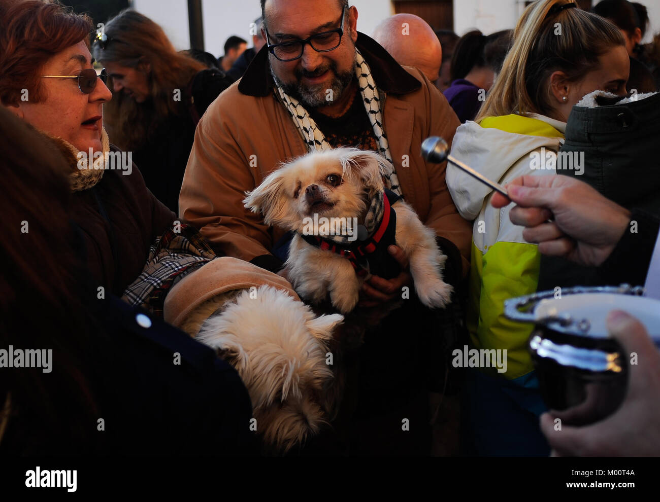 Malaga, Spagna. Xvii gen, 2018. Gli animali domestici sono benedetti da un sacerdote al di fuori di San Anton chiesa nel quartiere di Churriana. La festa di San Anton è una tradizione religiosa che si celebra ogni anno in Spagna con tutti i tipi di animali trasportati per i suoi proprietari verso le chiese per sono state benedette da un sacerdote, ricerca la benedizione del Santo patrono degli animali Credito: Gesù Merida/SOPA/ZUMA filo/Alamy Live News Foto Stock