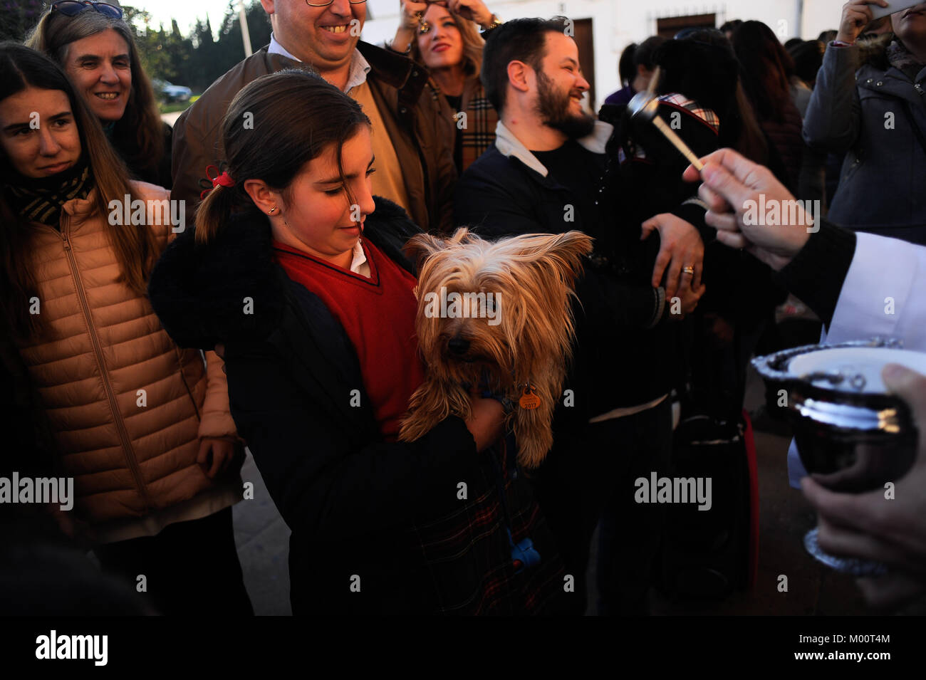 Malaga, Spagna. Xvii gen, 2018. Gli animali domestici sono benedetti da un sacerdote al di fuori di San Anton chiesa nel quartiere di Churriana. La festa di San Anton è una tradizione religiosa che si celebra ogni anno in Spagna con tutti i tipi di animali trasportati per i suoi proprietari verso le chiese per sono state benedette da un sacerdote, ricerca la benedizione del Santo patrono degli animali Credito: Gesù Merida/SOPA/ZUMA filo/Alamy Live News Foto Stock