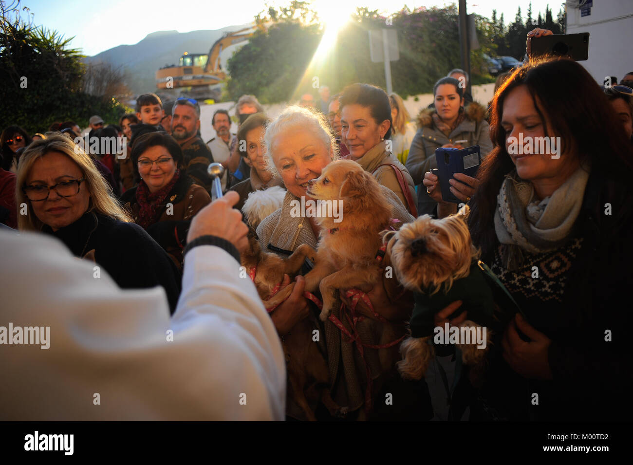 Malaga, Spagna. Xvii gen, 2018. Gli animali domestici sono benedetti da un sacerdote al di fuori di San Anton chiesa nel quartiere di Churriana. La festa di San Anton è una tradizione religiosa che si celebra ogni anno in Spagna con tutti i tipi di animali trasportati per i suoi proprietari verso le chiese per sono state benedette da un sacerdote, ricerca la benedizione del Santo patrono degli animali Credito: Gesù Merida/SOPA/ZUMA filo/Alamy Live News Foto Stock