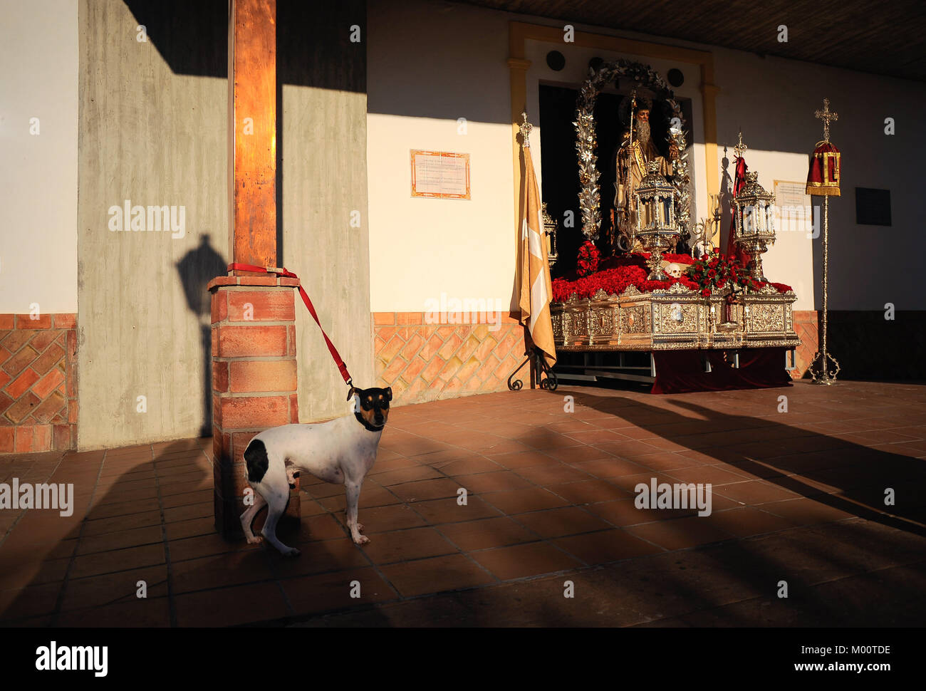 Malaga, Spagna. Xvii gen, 2018. Un cane vede al di fuori della chiesa prima di essere benedetti da un sacerdote attende al di fuori di San Anton chiesa nel quartiere di Churriana. La festa di San Anton è una tradizione religiosa che si celebra ogni anno in Spagna con tutti i tipi di animali trasportati per i suoi proprietari verso le chiese per sono state benedette da un sacerdote, ricerca la benedizione del Santo patrono degli animali Credito: Gesù Merida/SOPA/ZUMA filo/Alamy Live News Foto Stock