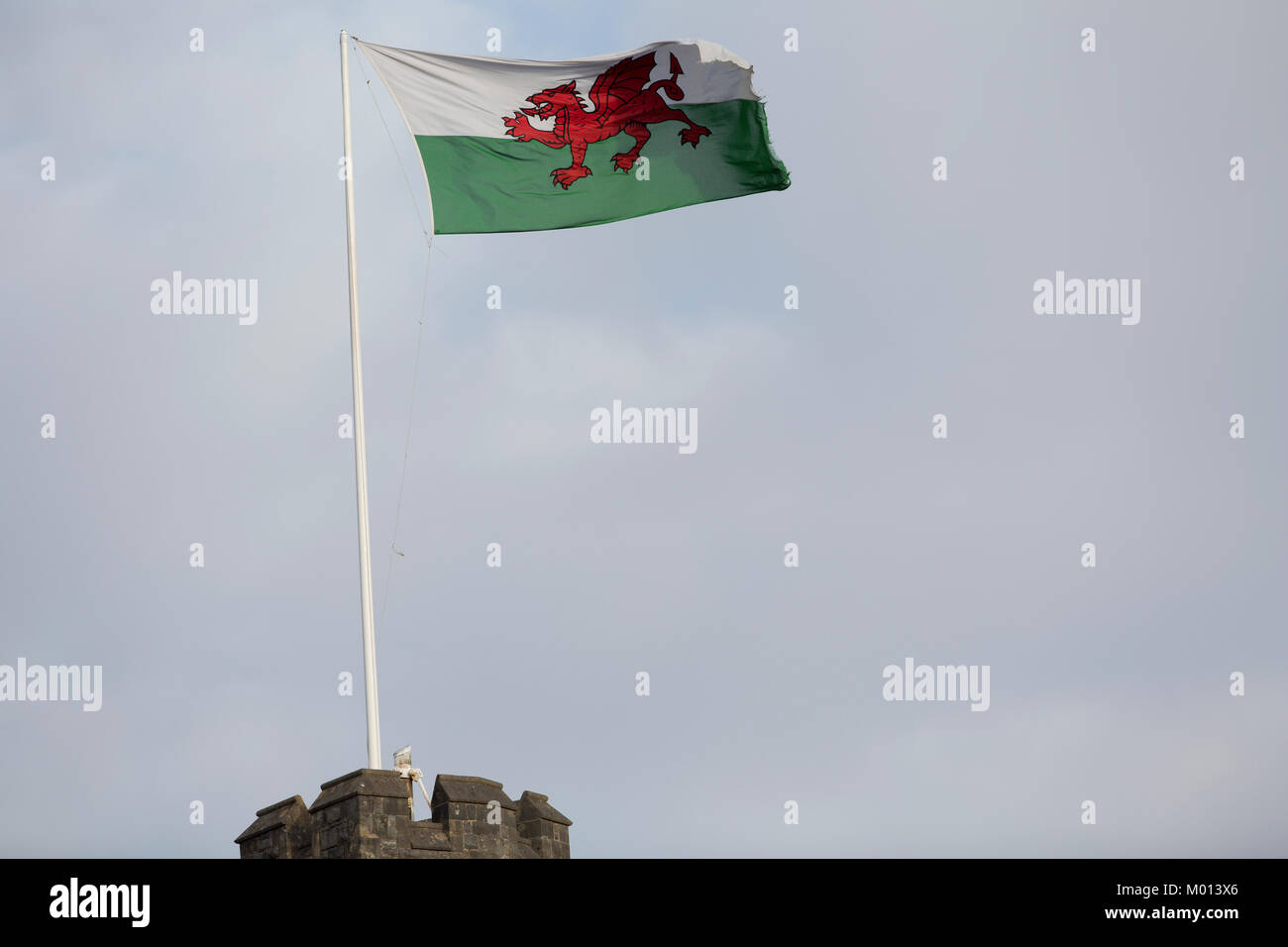 Cardiff, Galles, UK. 18 gennaio, 2018. Welsh flsg volare alto in perperation del principe Harry e MS Meghan Markle chi visiterà Cardiff sul loro impegno reale tour. Credito: Beks Matthews/Alamy Live News Credito: Beks Matthews/Alamy Live News Foto Stock