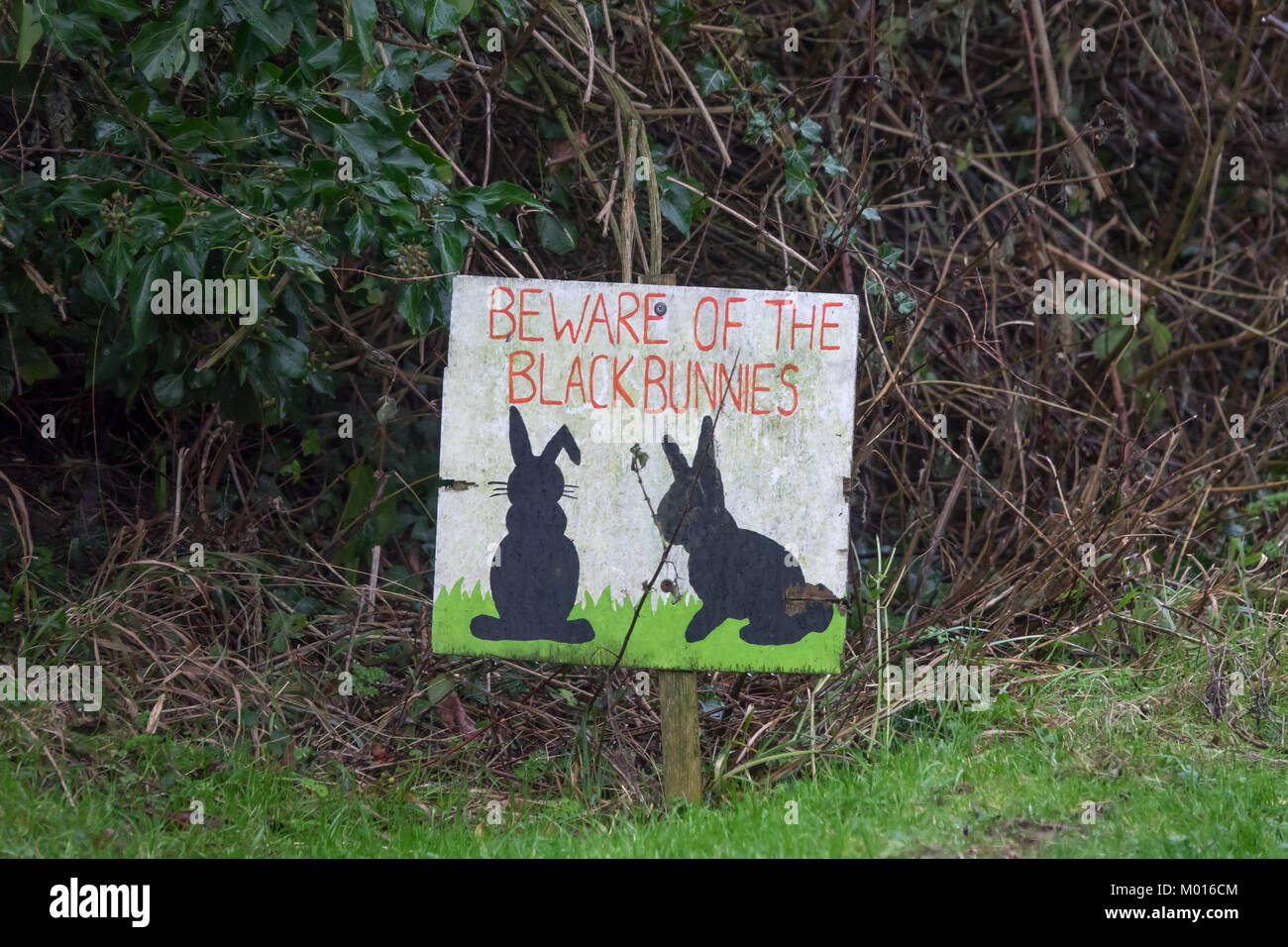 Segno di erba orlo su strada in Milton Street, East Sussex, avvertimento ai conducenti di guardare fuori per il nero conigli. Foto Stock