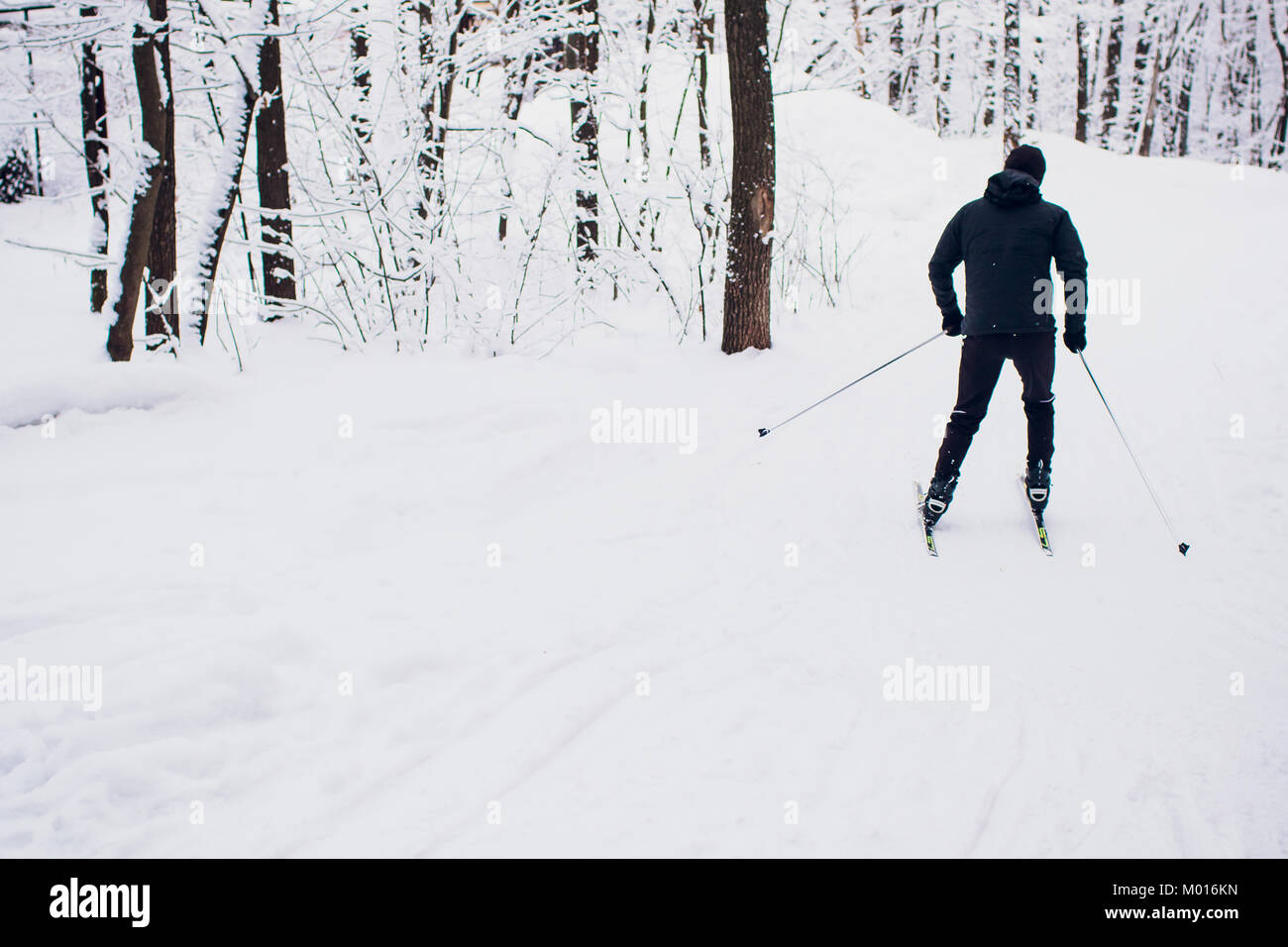 Nordic sciatore su bianco inverno foresta coperta di neve - concetto foto per le olimpiadi invernali nel gioco pyeongchang nel 2018 Foto Stock