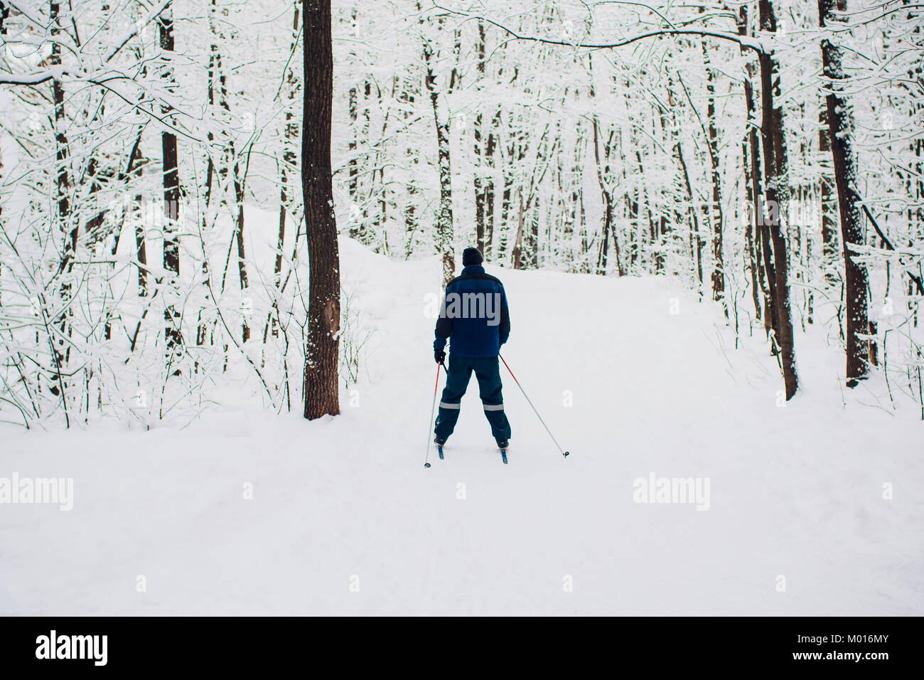 Nordic sciatore su bianco inverno foresta coperta di neve - concetto foto per le olimpiadi invernali nel gioco pyeongchang nel 2018 Foto Stock