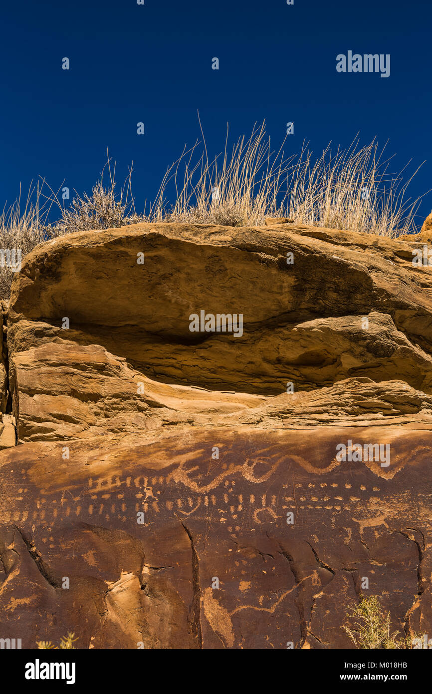 Pannello Petroglyph mostra un animale con una lunga coda e un serpente, nonché punti e trattini verticali o significato sconosciuto, in Nine Mile Canyon dello Utah, USA Foto Stock