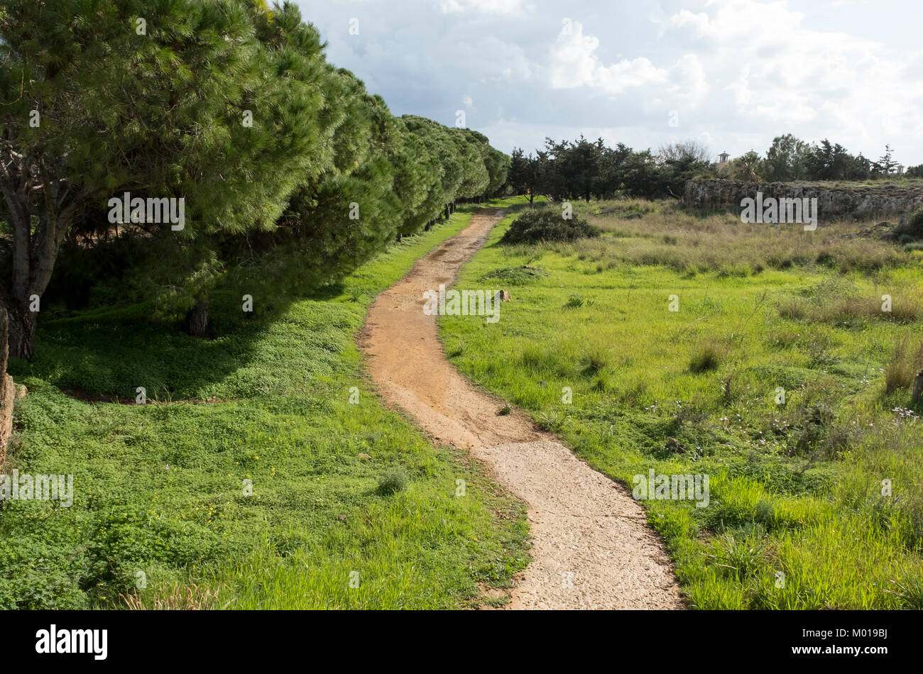 Tomba dei Re sito archeologico, Kato Paphos, Paphos, Cipro. Foto Stock