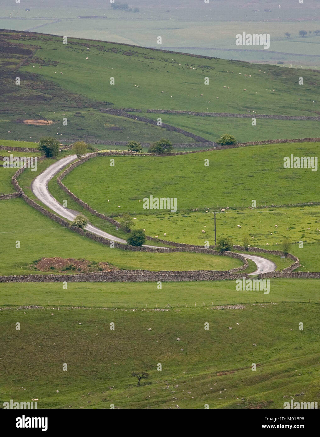 Rurali paesaggio britannico di una tortuosa strada attraverso i pascoli verdi con un recinto di pietra nel Yorkshire Dales National Park, Inghilterra, Regno Unito. Foto Stock