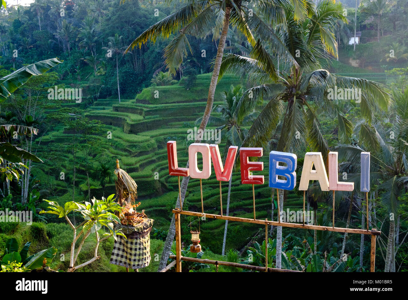 "L'amore" Bali segno all'Tegallalang terrazze di riso nei pressi di Ubud, Bali, Indonesia. Foto Stock