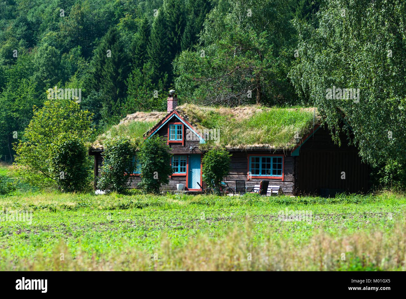 Un tetto sod log cabin con erba che ricopre il tetto. Visto vicino Åndalsne, contea di Møre og Romsdal, Norvegia. Foto Stock