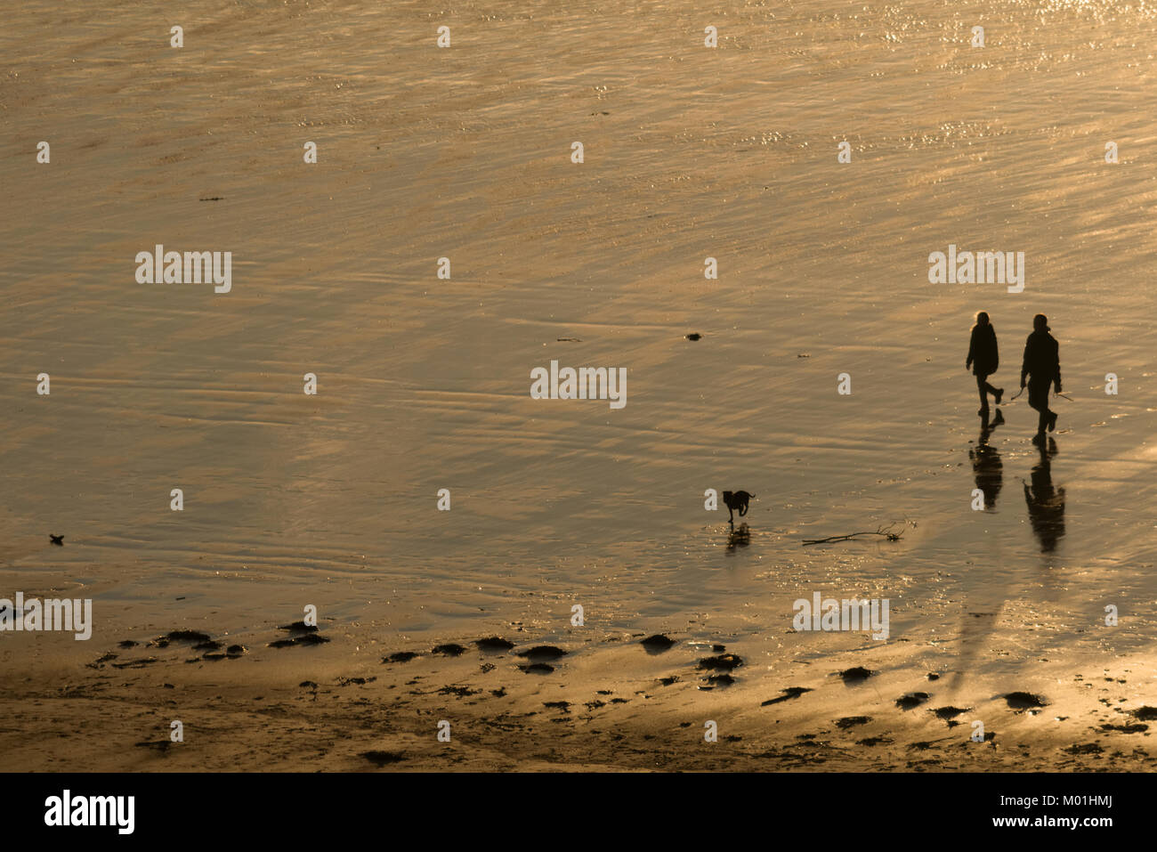 La silhouette di un uomo e di una donna (giovane) passeggiate sulla spiaggia con il loro cane al tramonto. Foto Stock