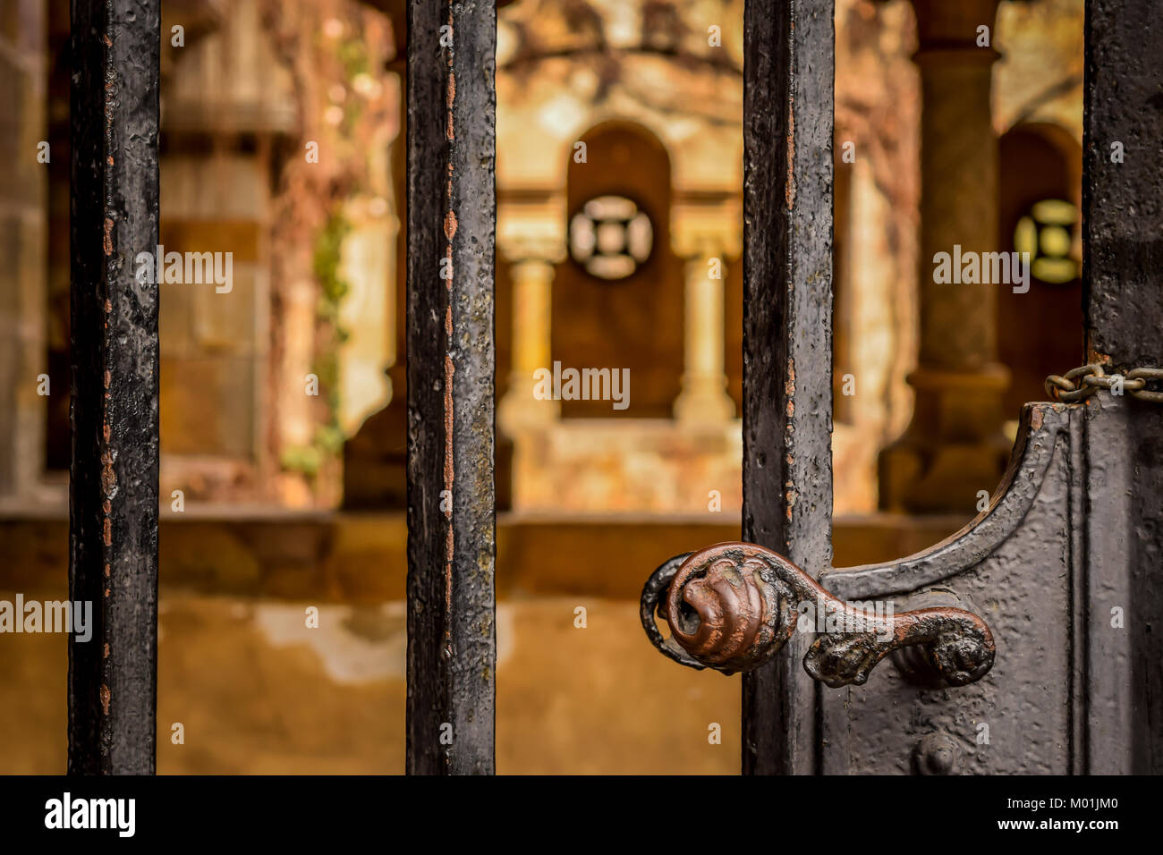 Gate, sfocato il vecchio edificio in background. Cancello marrone con maniglia decorativa, colori dell'autunno. Foto Stock