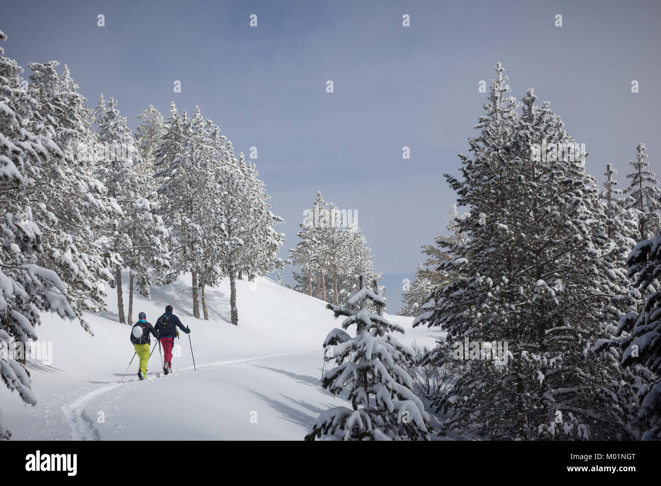 13/3/16 Backcountry telemark a Llano de la Casa / Alcaira / Loma Sagarraga, Sierra de la Demanda, La Rioja, Spagna. Foto Stock