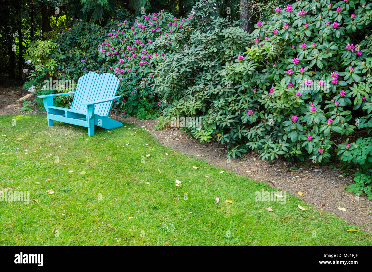 Blue panca di legno in un giardino di rododendro Foto Stock