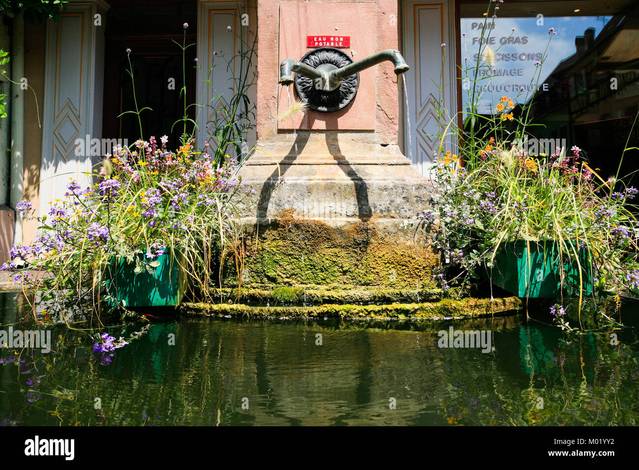 RIQUEWIHR, Francia - Luglio 11, 2010: la vecchia molla di acqua in città Riquewihr. Riquewihr è comune in Alsazia strada del vino regione, città appartiene alla assoc Foto Stock