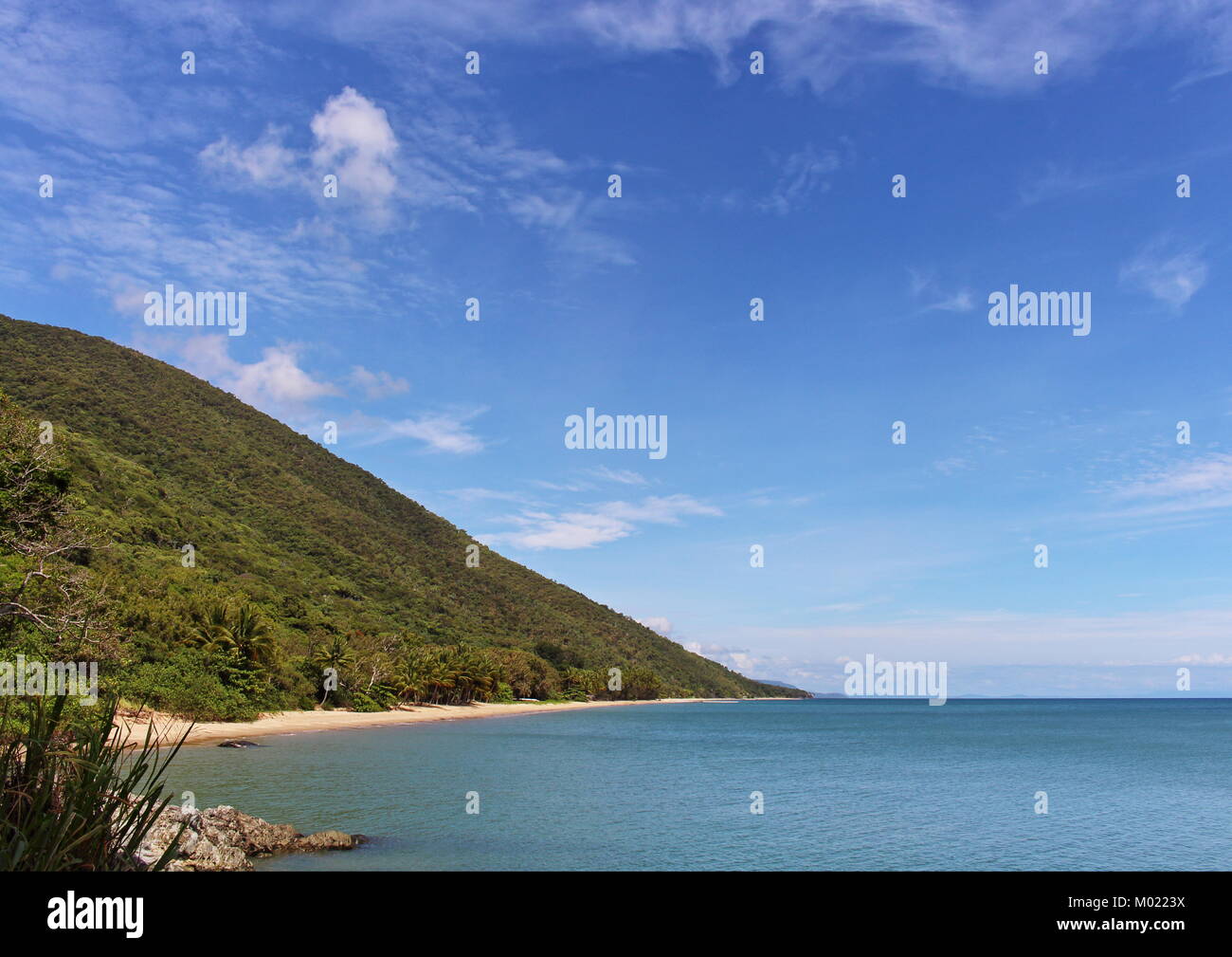 Il più aspetto nord alle visualizzazioni a Ellis Beach su la Captain Cook Highway scenic drive a Port Douglas da Cairns in Tropical North Queensland Foto Stock