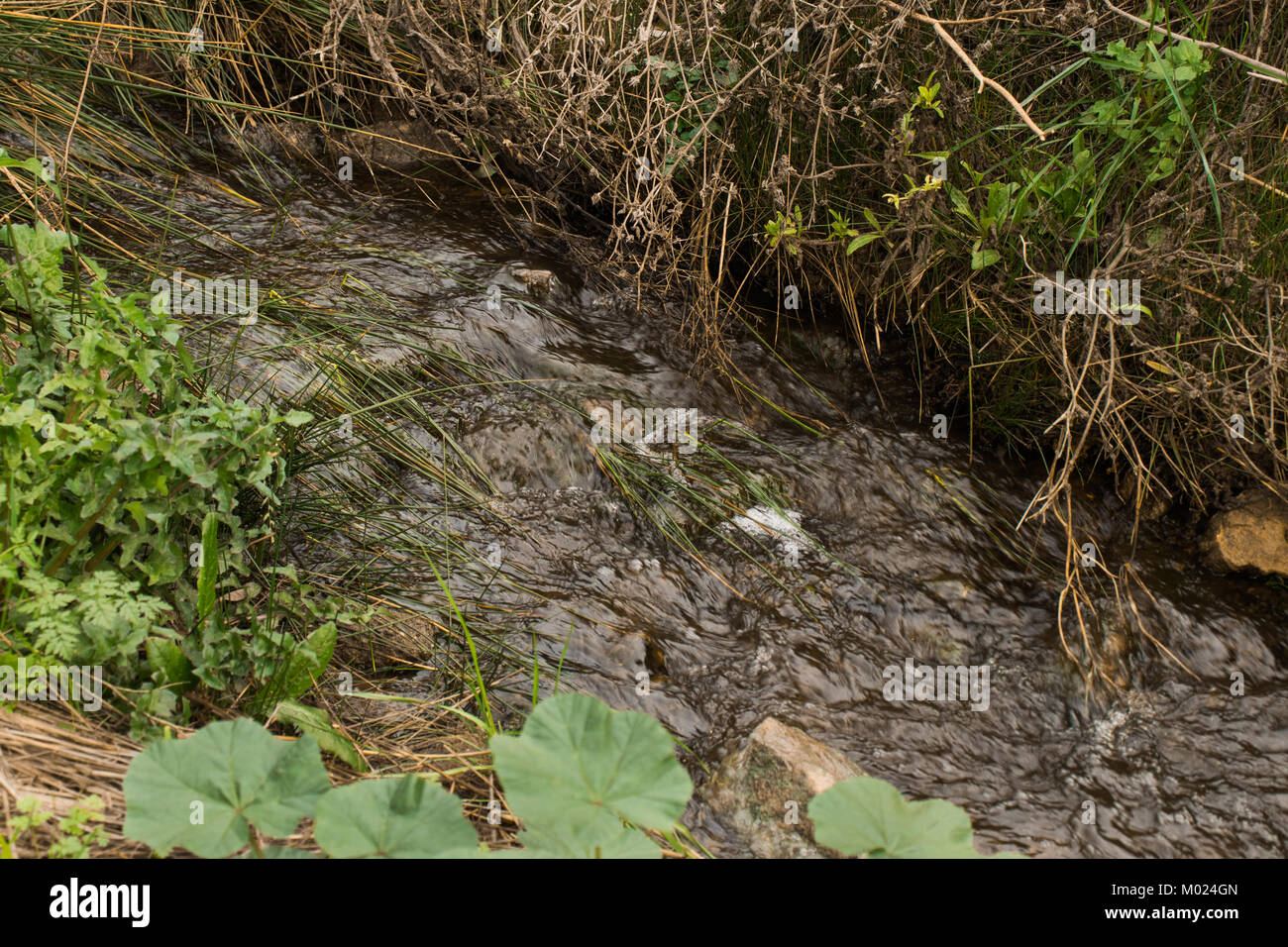 Acqua caduta Foto Stock